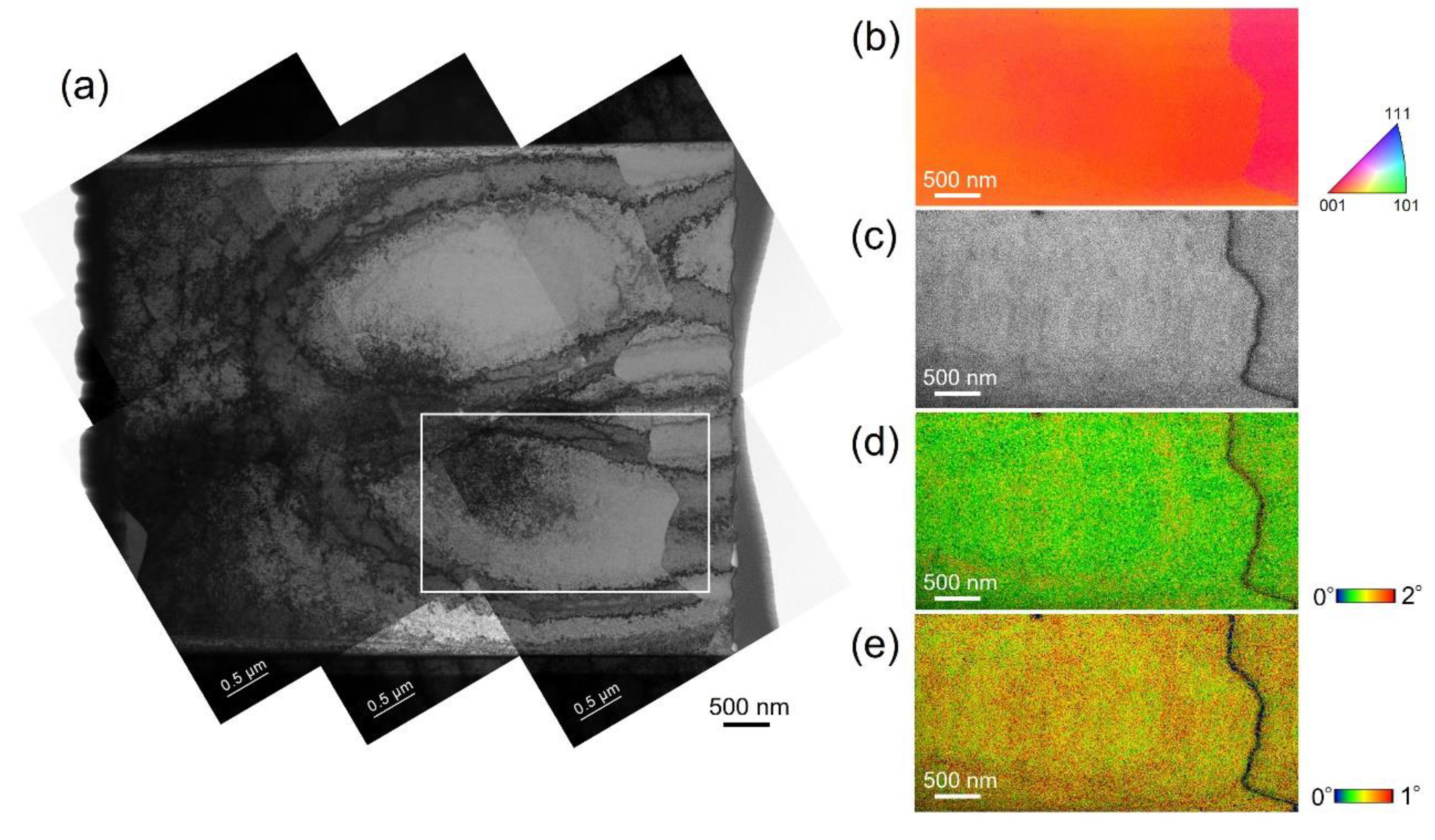 Preprints 100870 g005