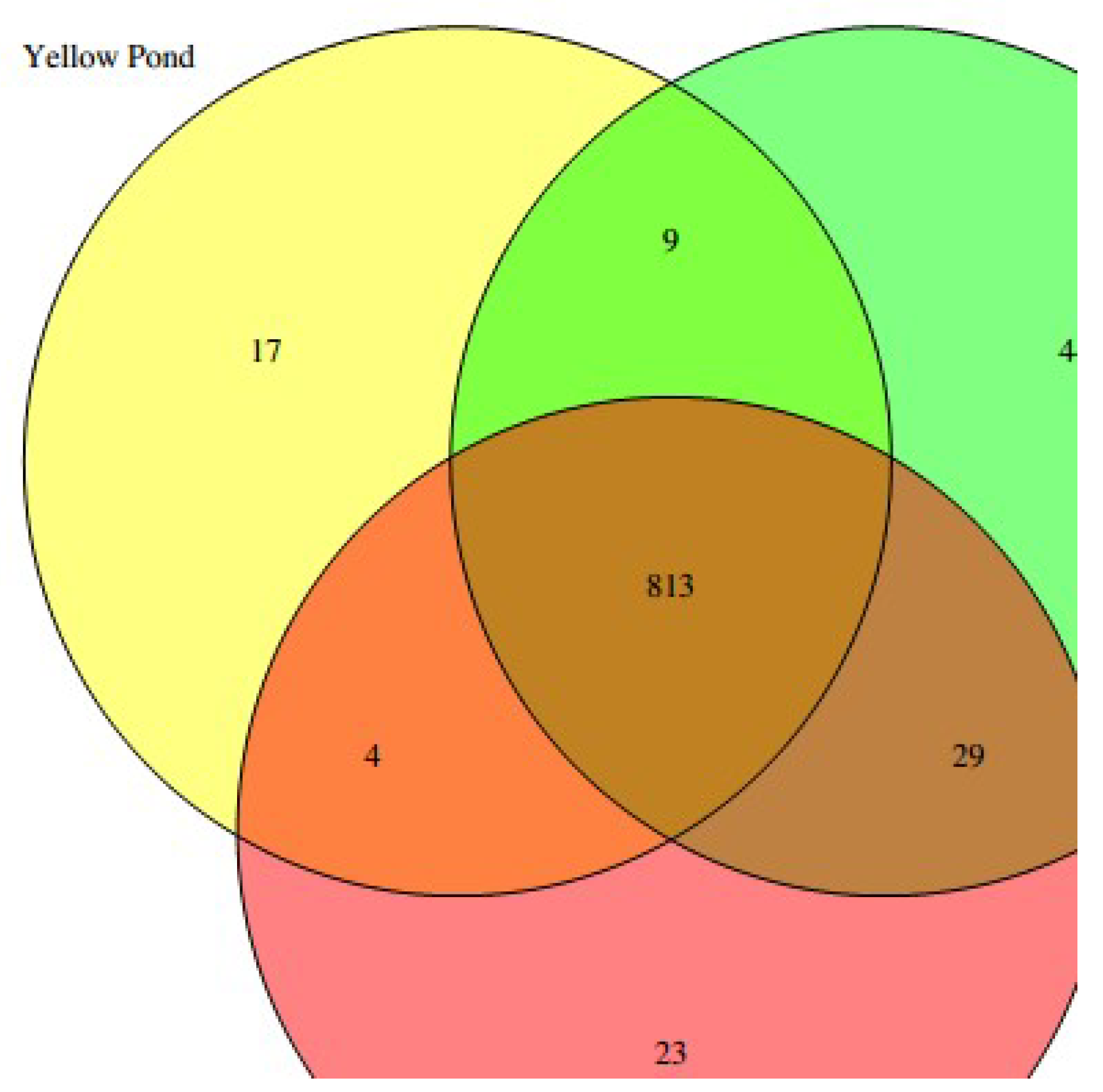 Preprints 117060 g004