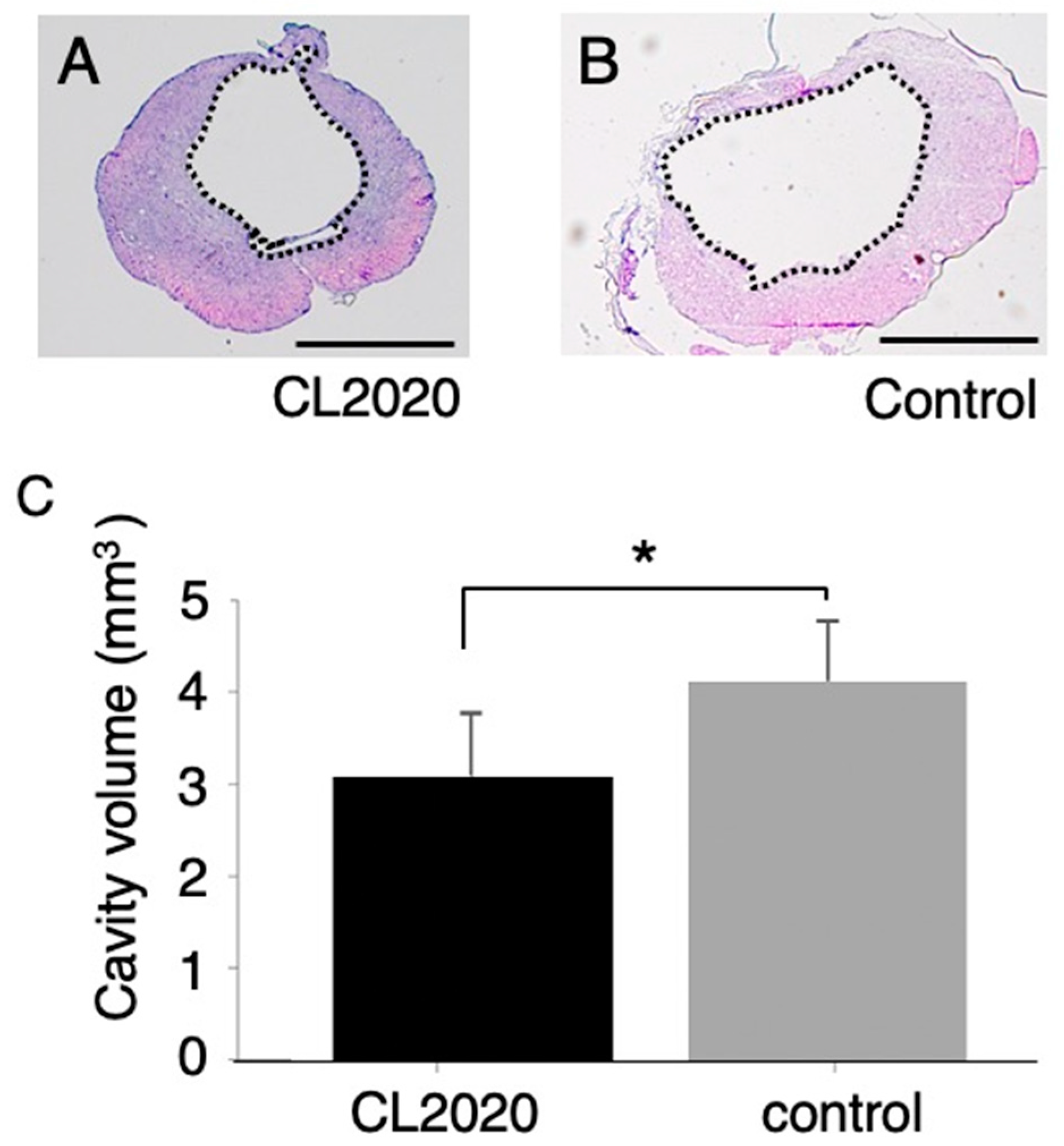 Preprints 83505 g002