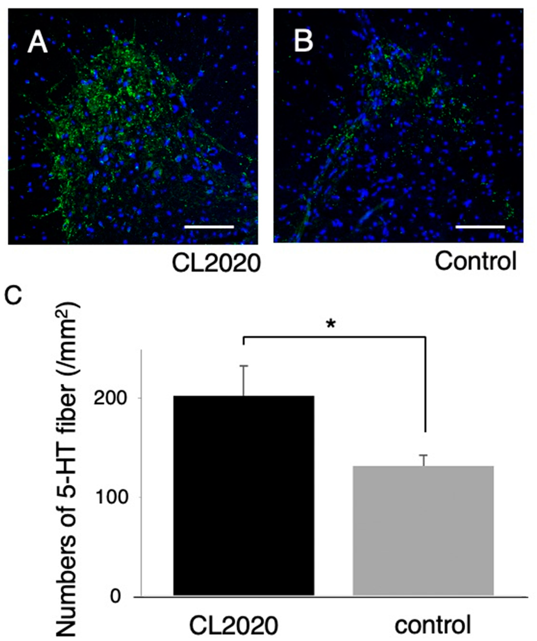 Preprints 83505 g004