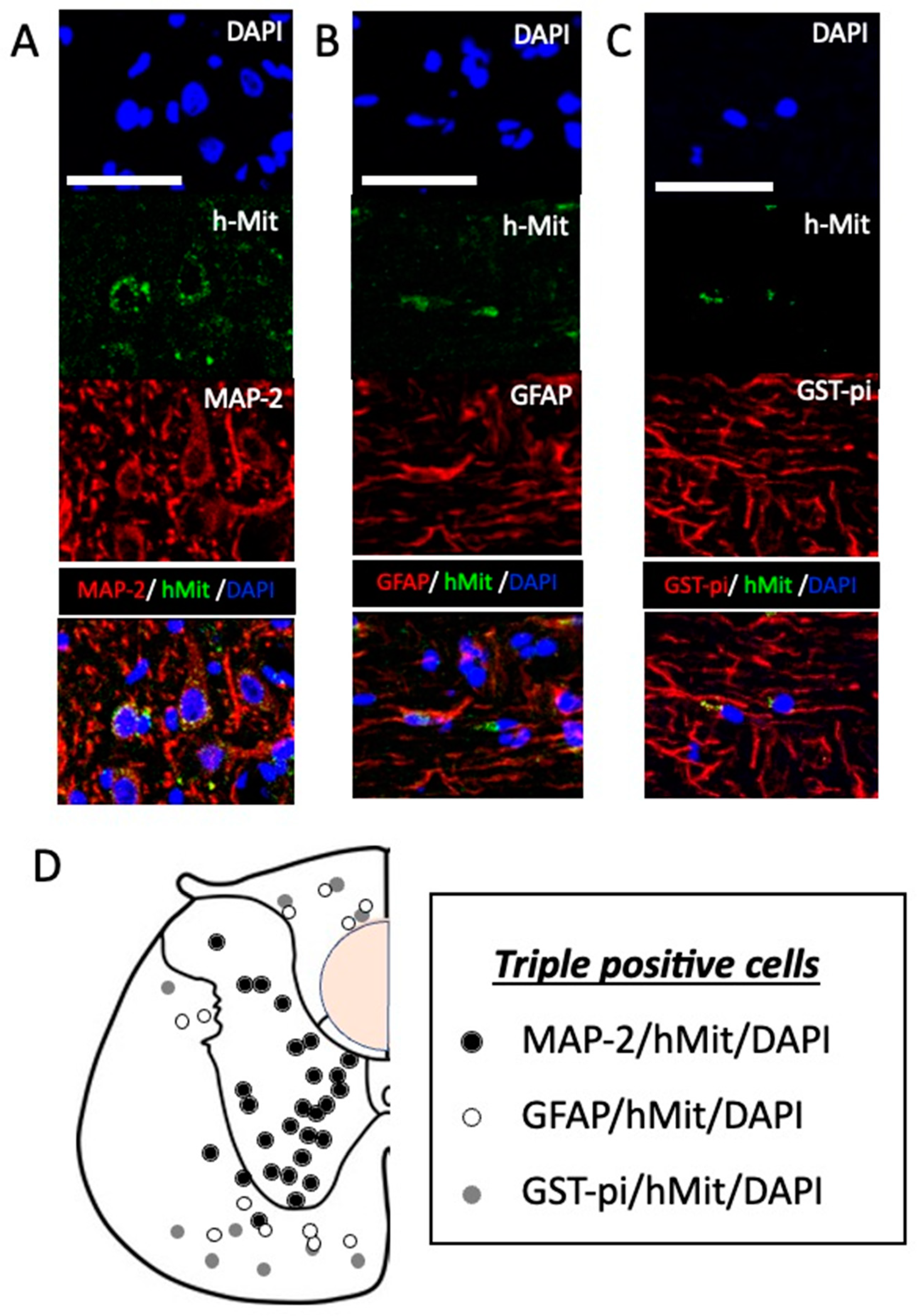 Preprints 83505 g005