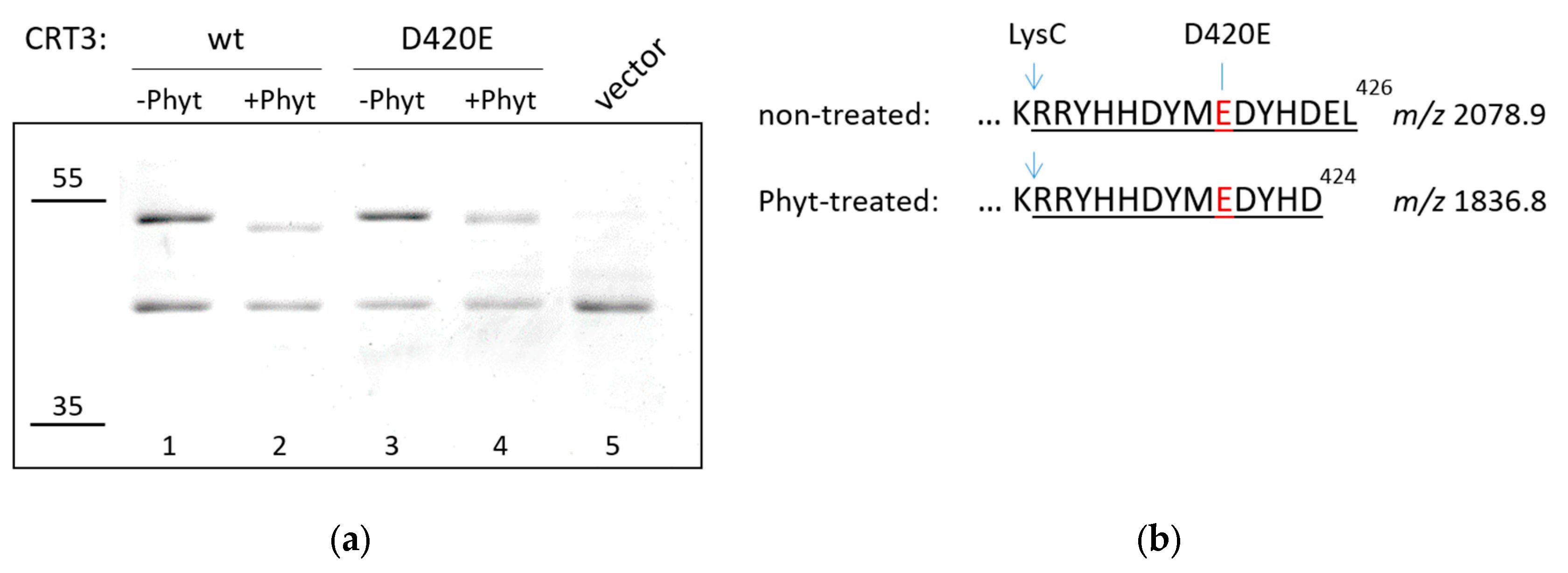 Preprints 90184 g002