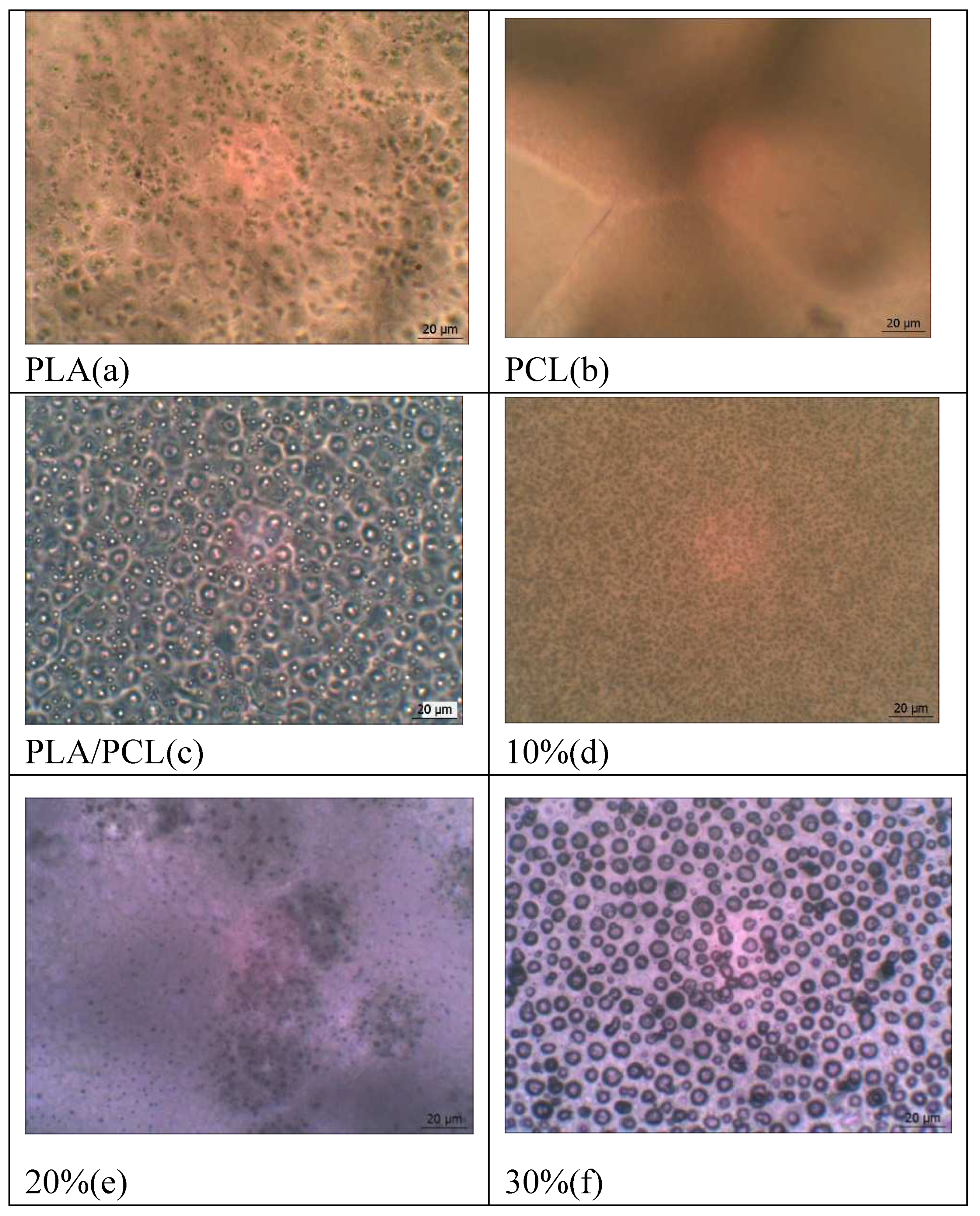 Preprints 94543 g008a