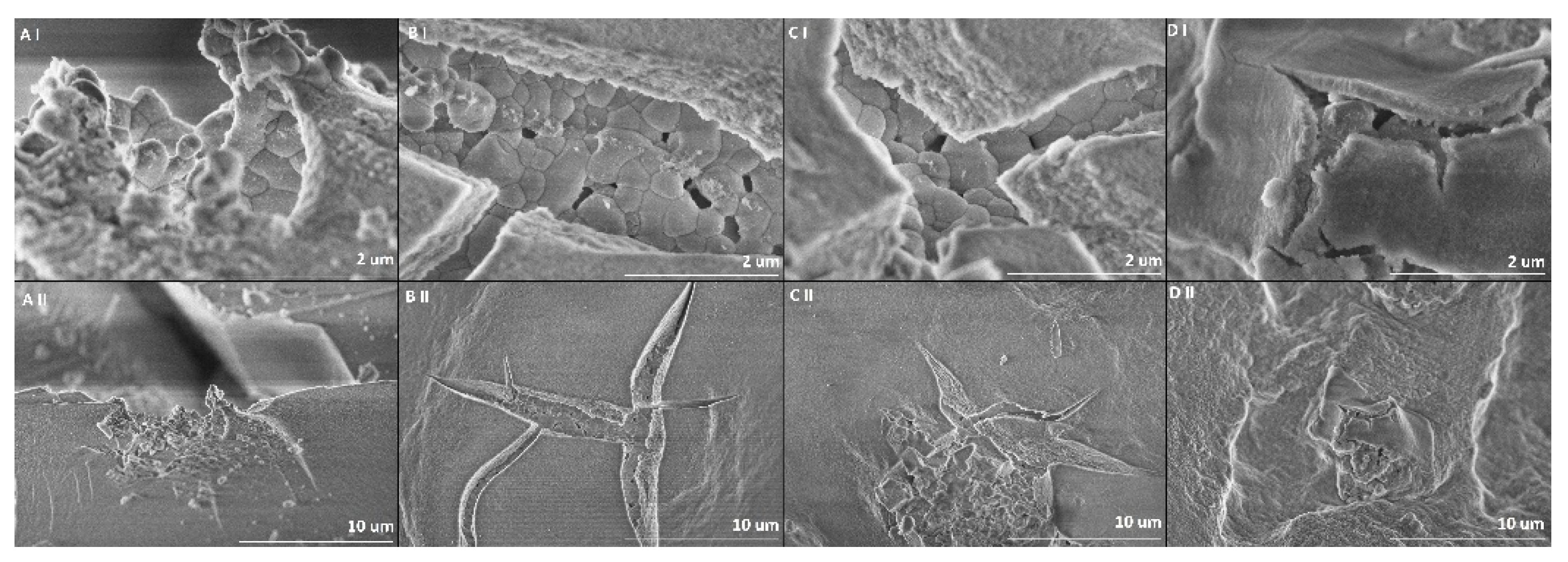 Preprints 74446 g002