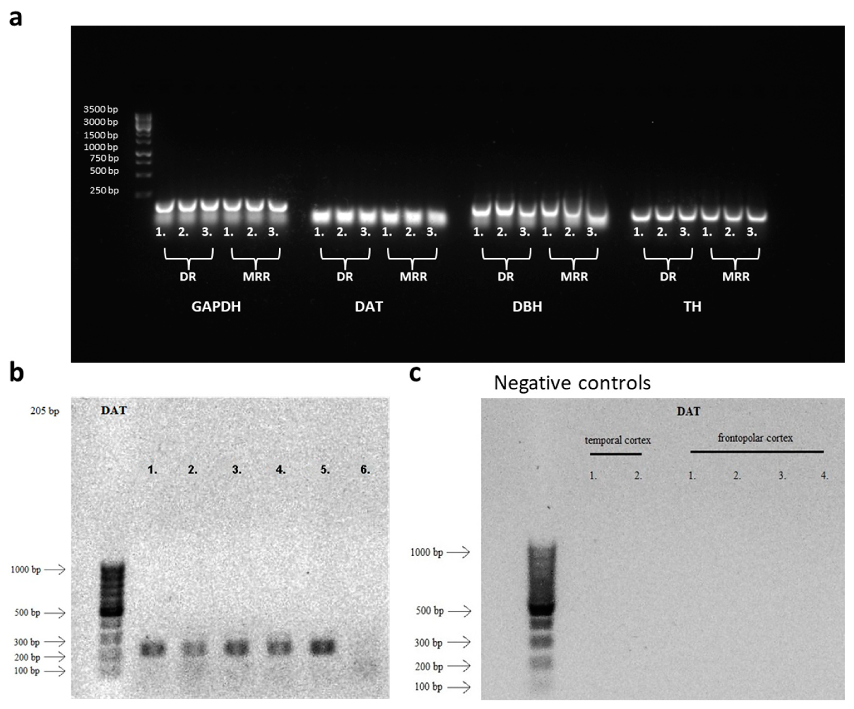 Preprints 101816 g003