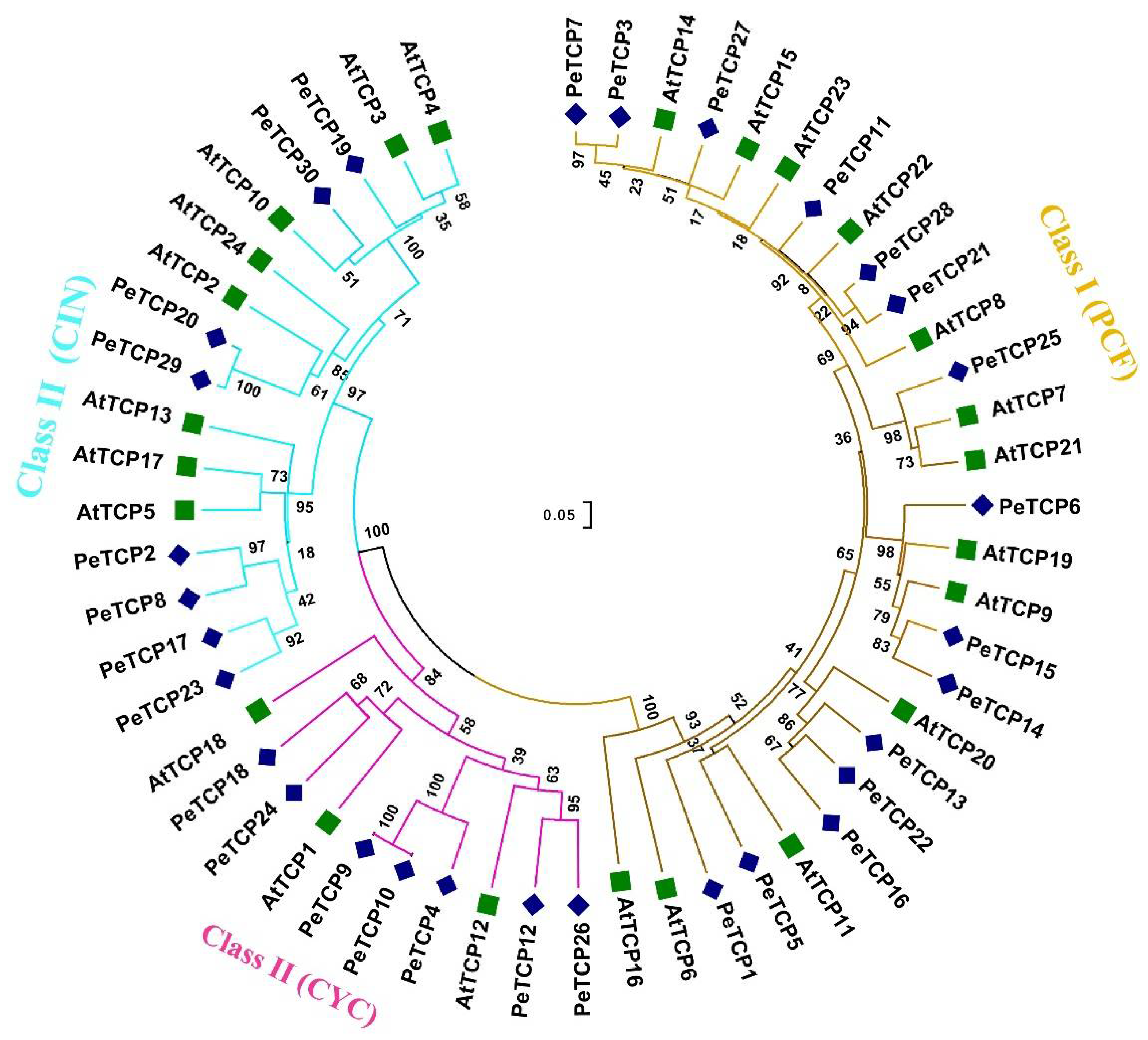 Preprints 106368 g001