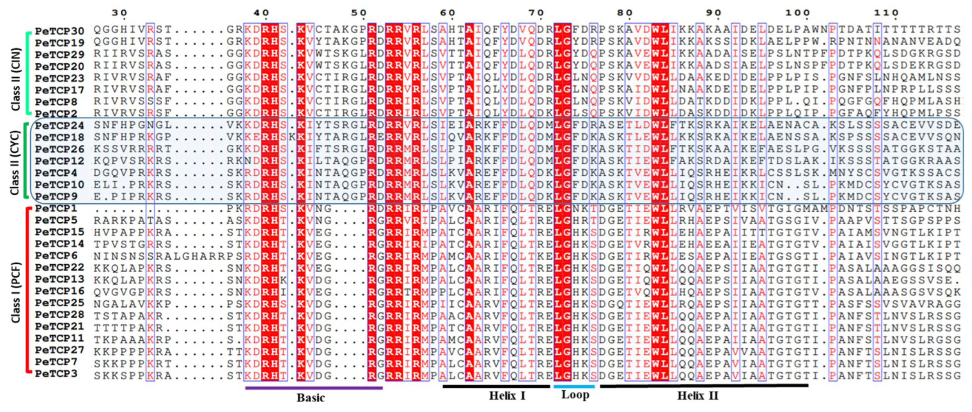 Preprints 106368 g002