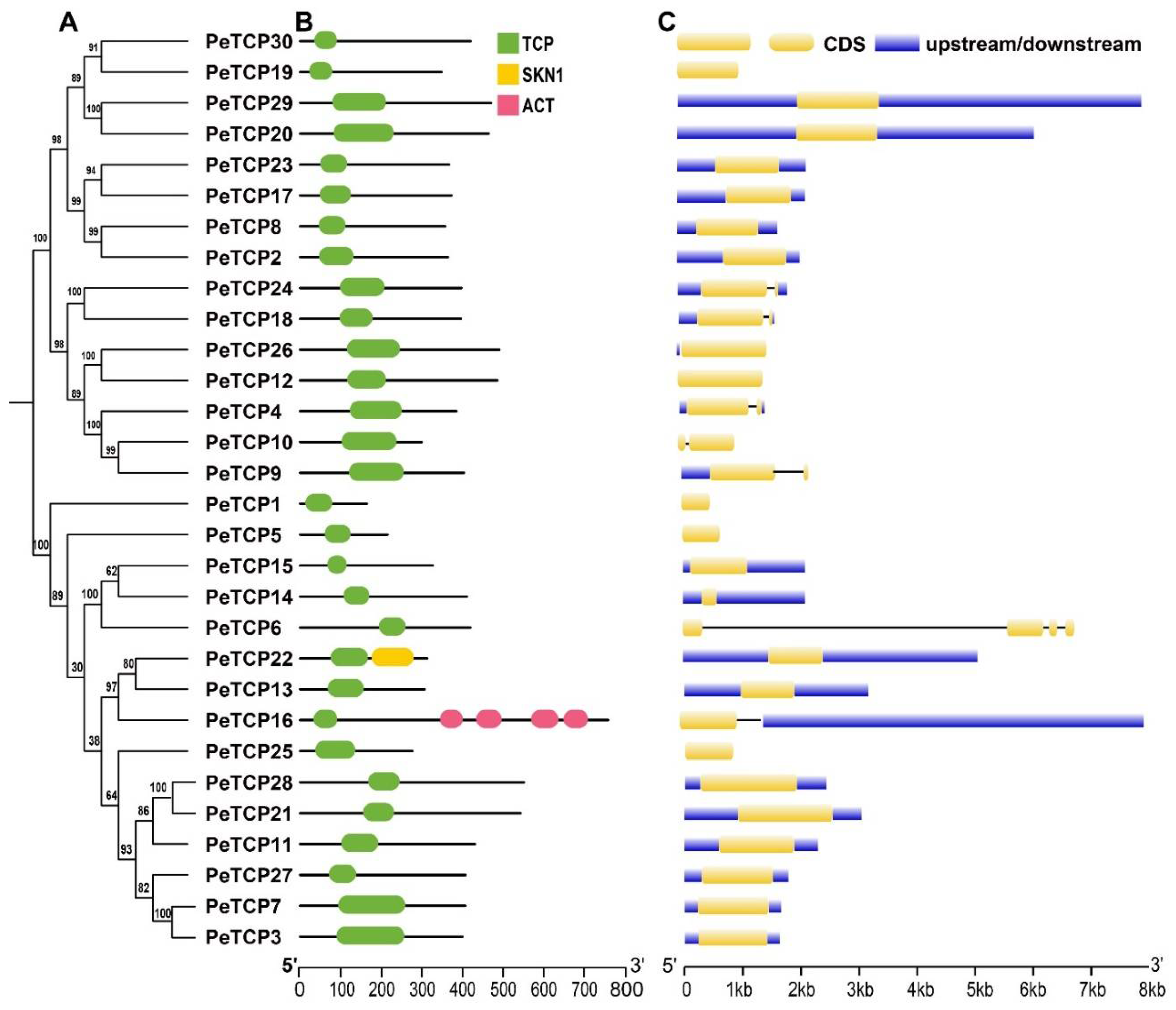 Preprints 106368 g003