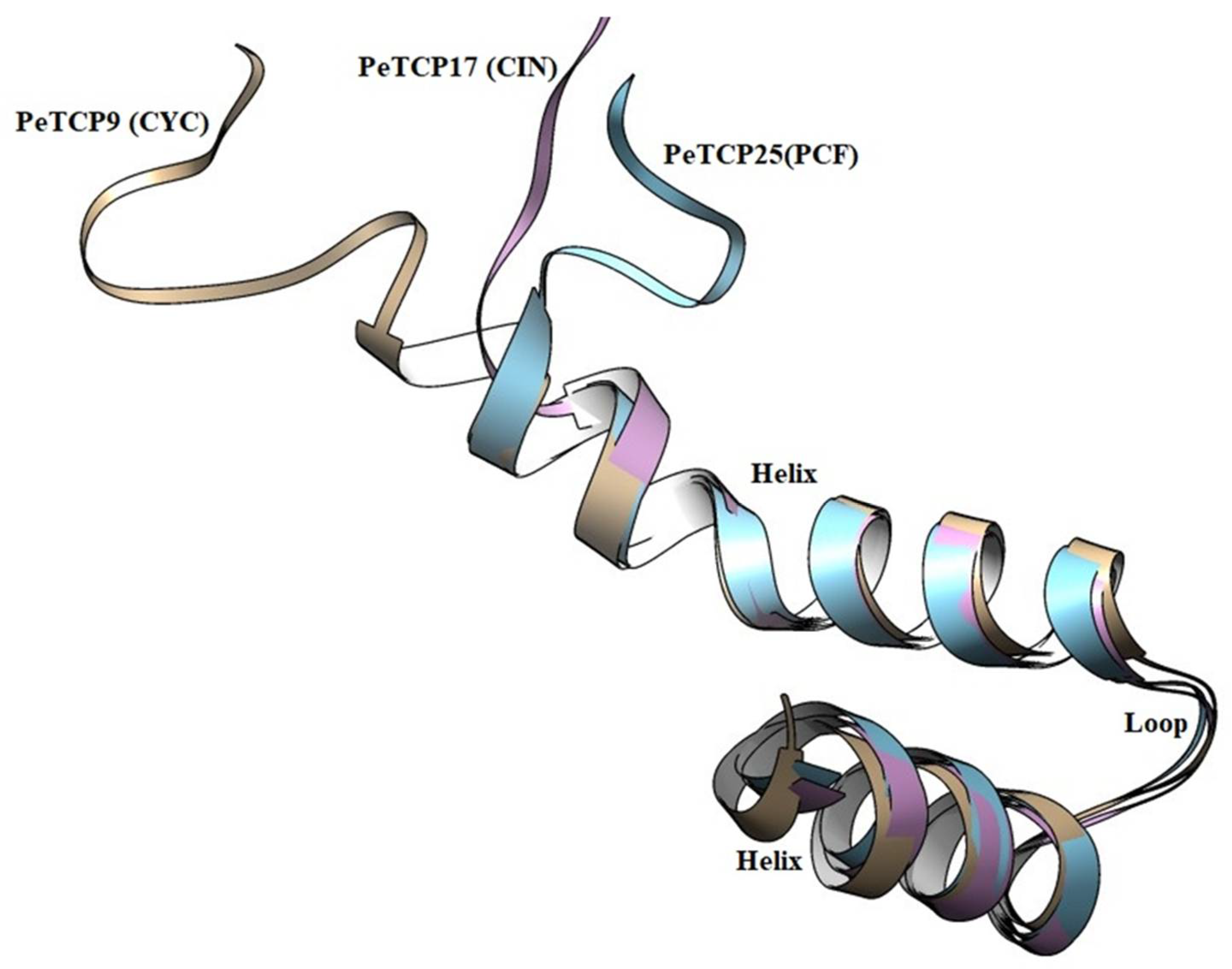 Preprints 106368 g004