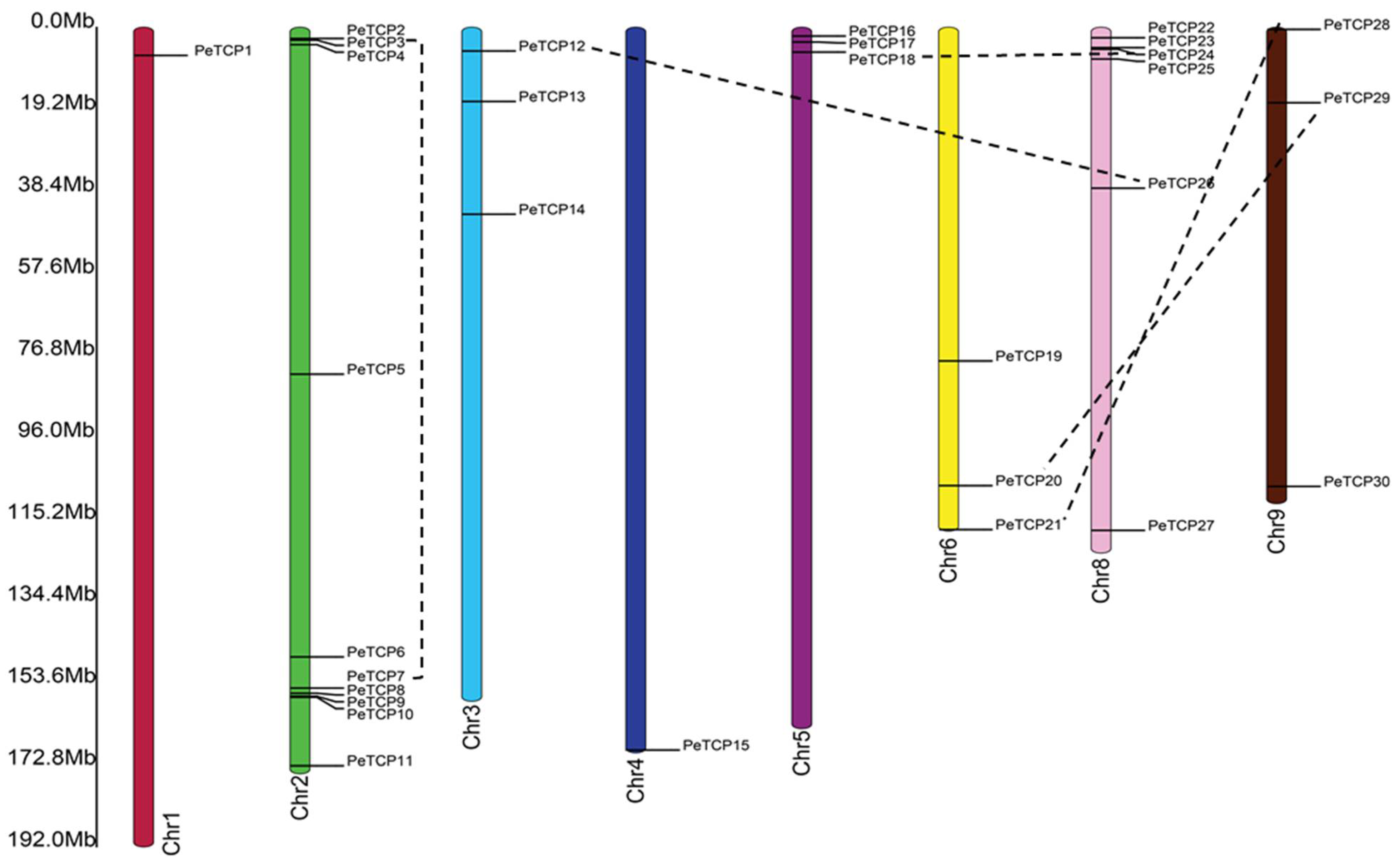 Preprints 106368 g005