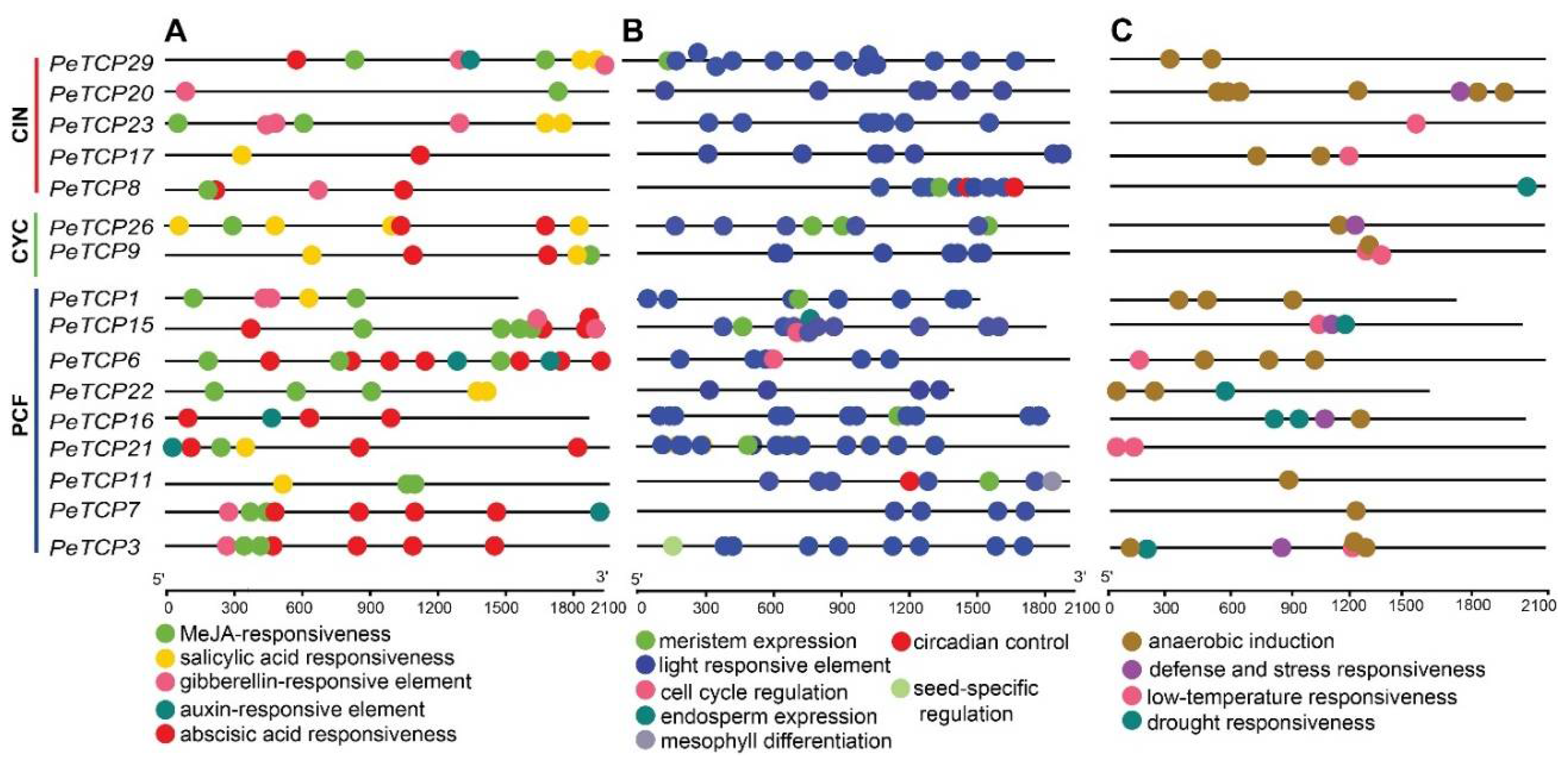 Preprints 106368 g006