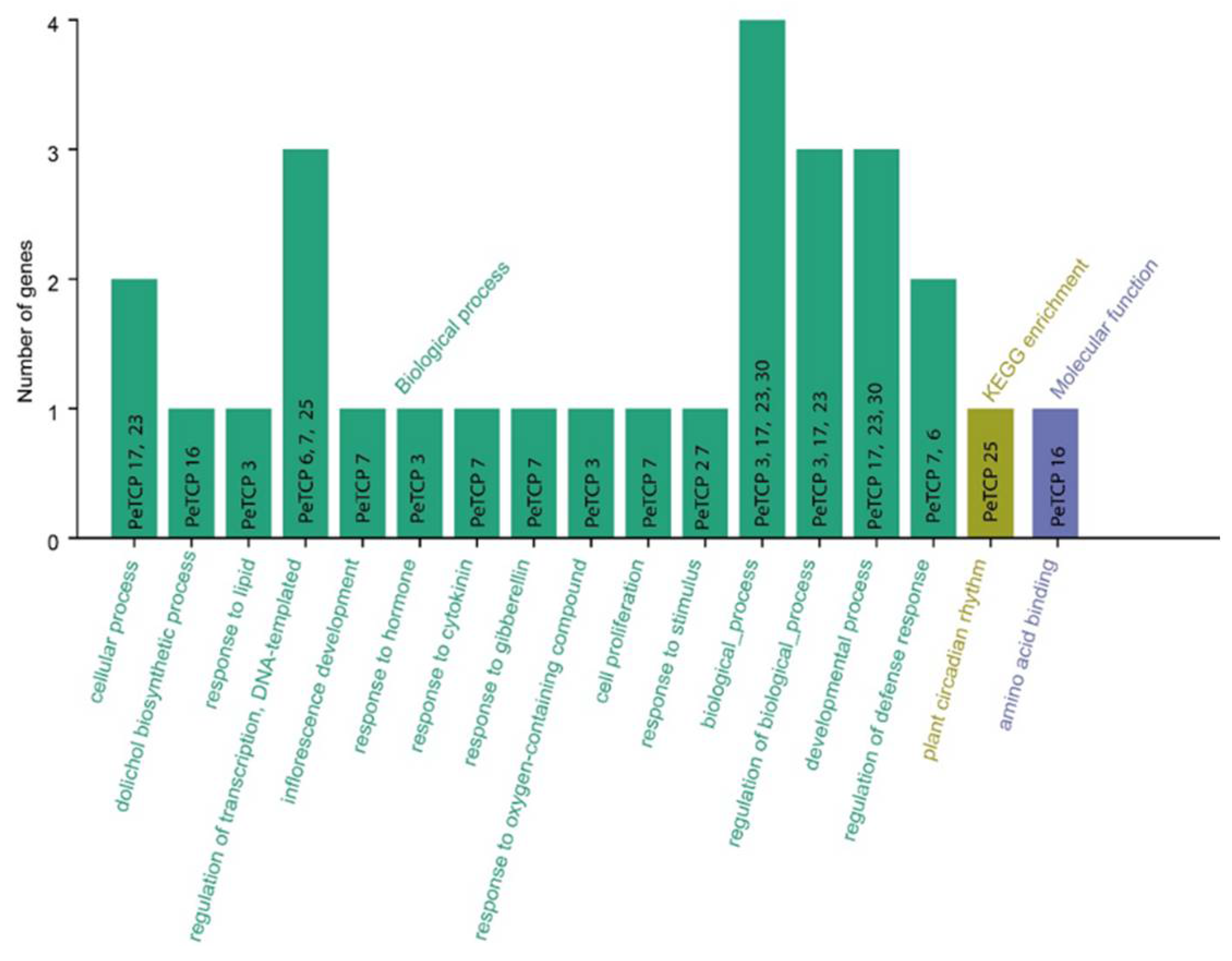 Preprints 106368 g009