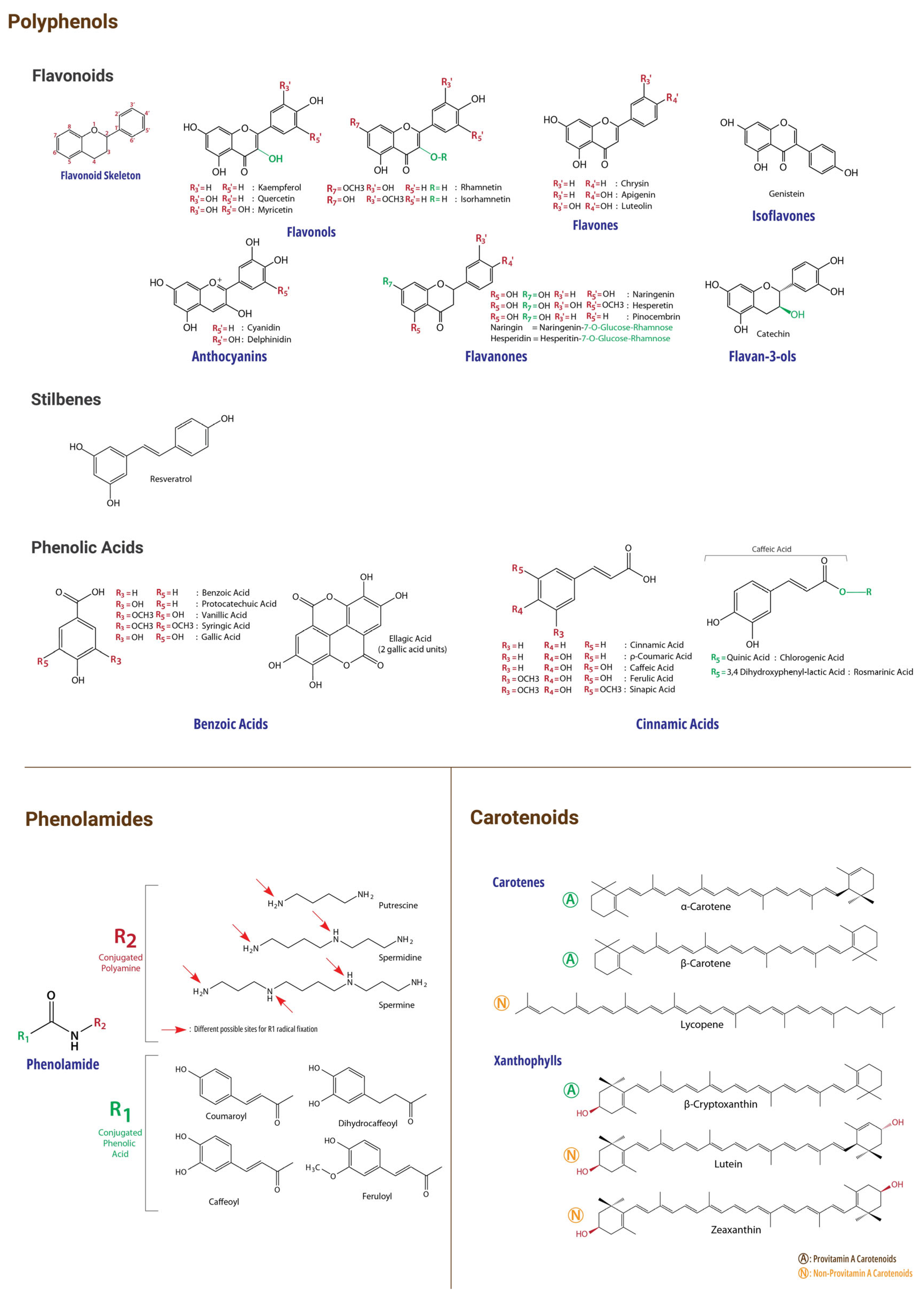 Preprints 119309 g002