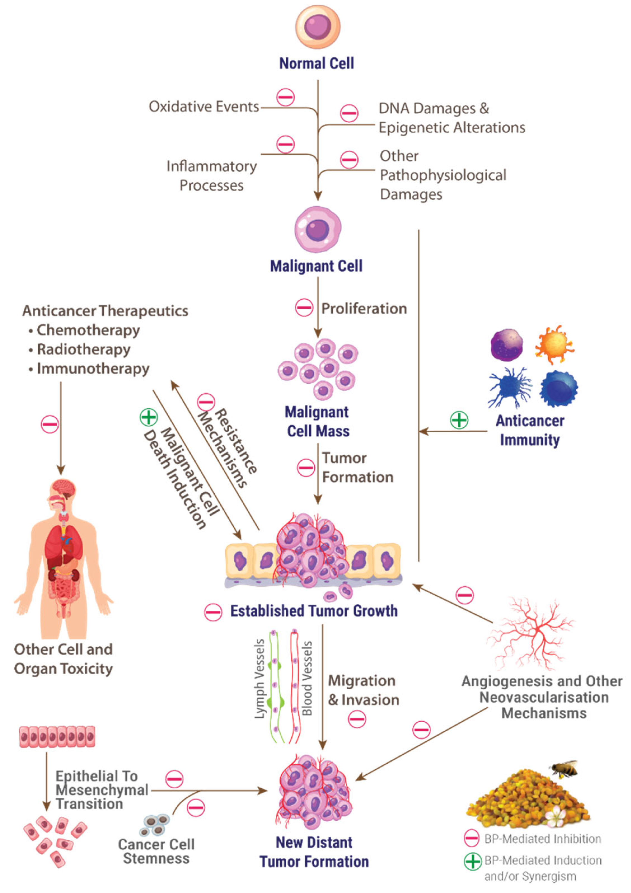 Preprints 119309 g004