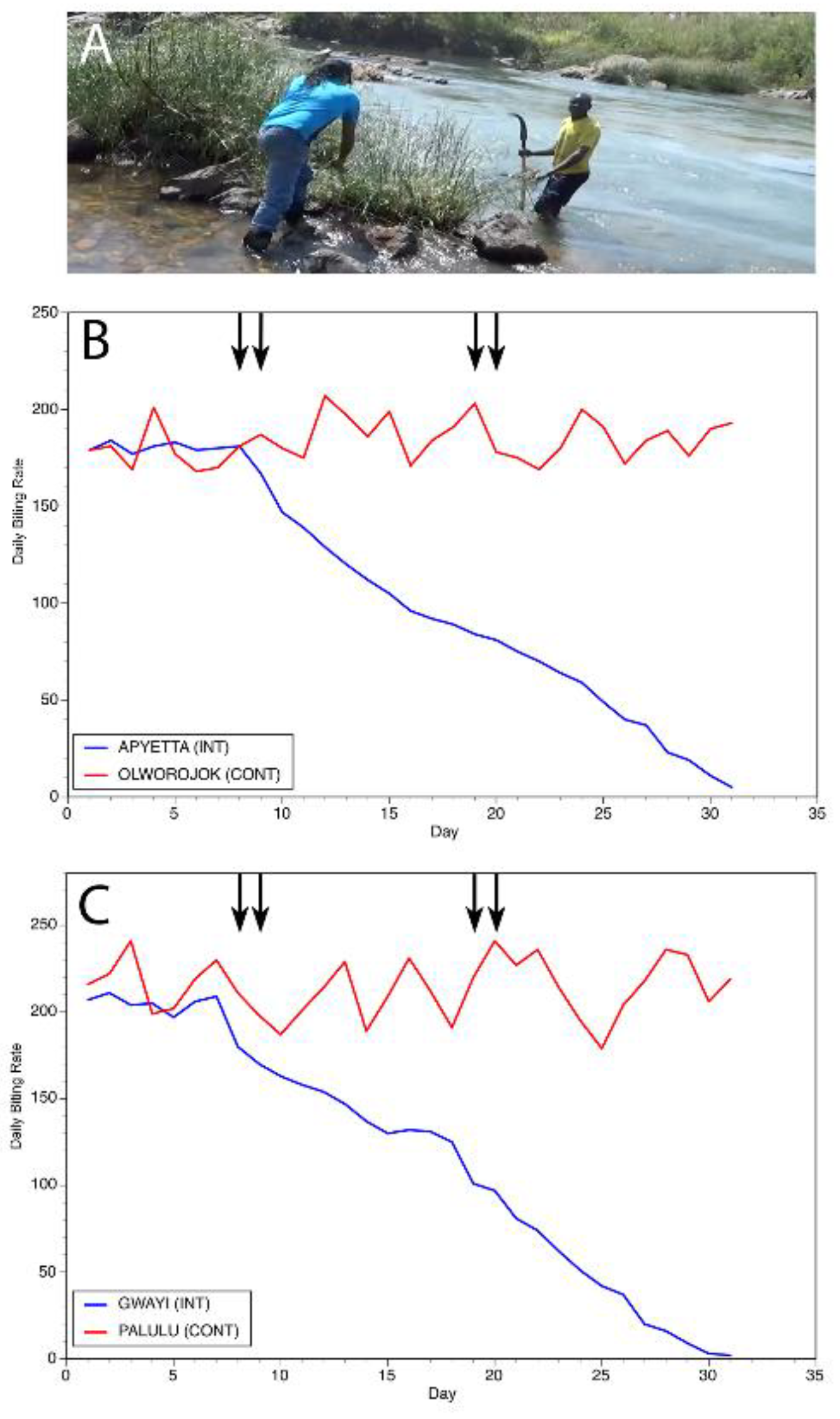 Preprints 99585 g009