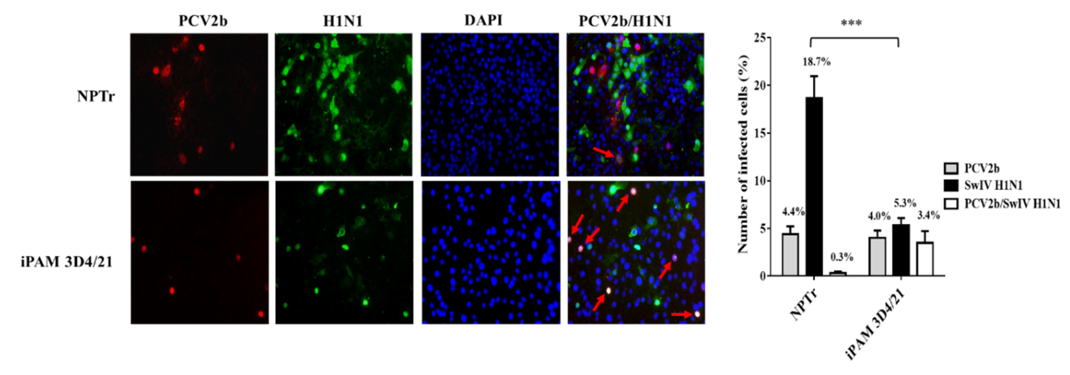 Preprints 71630 g001