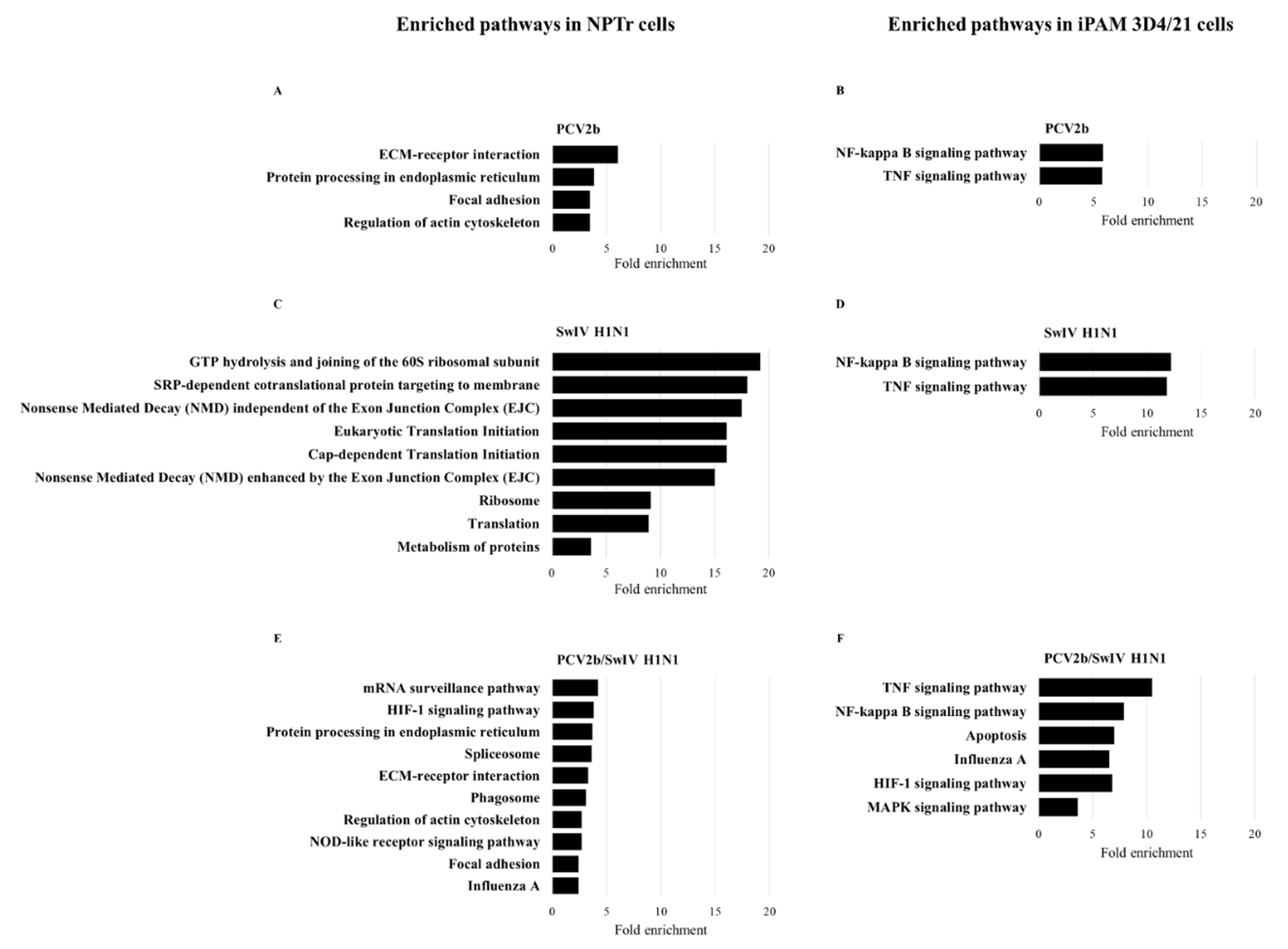 Preprints 71630 g007