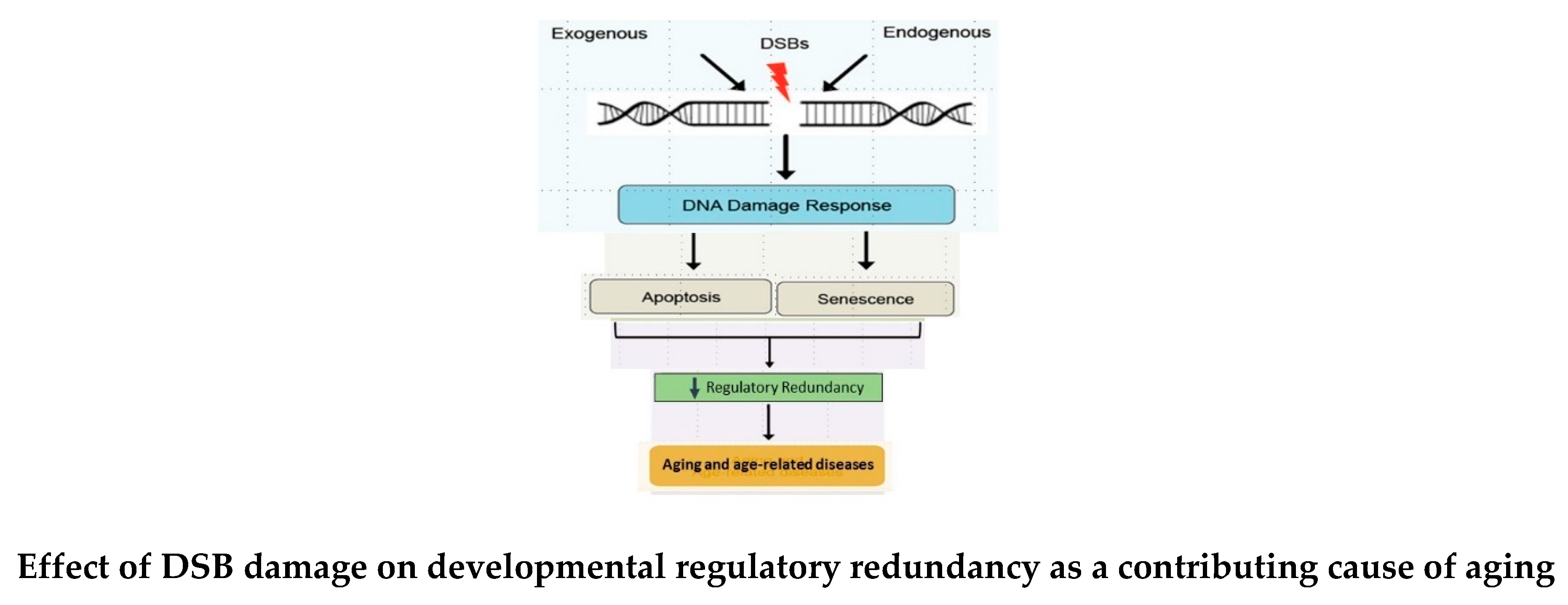 Preprints 86617 g008