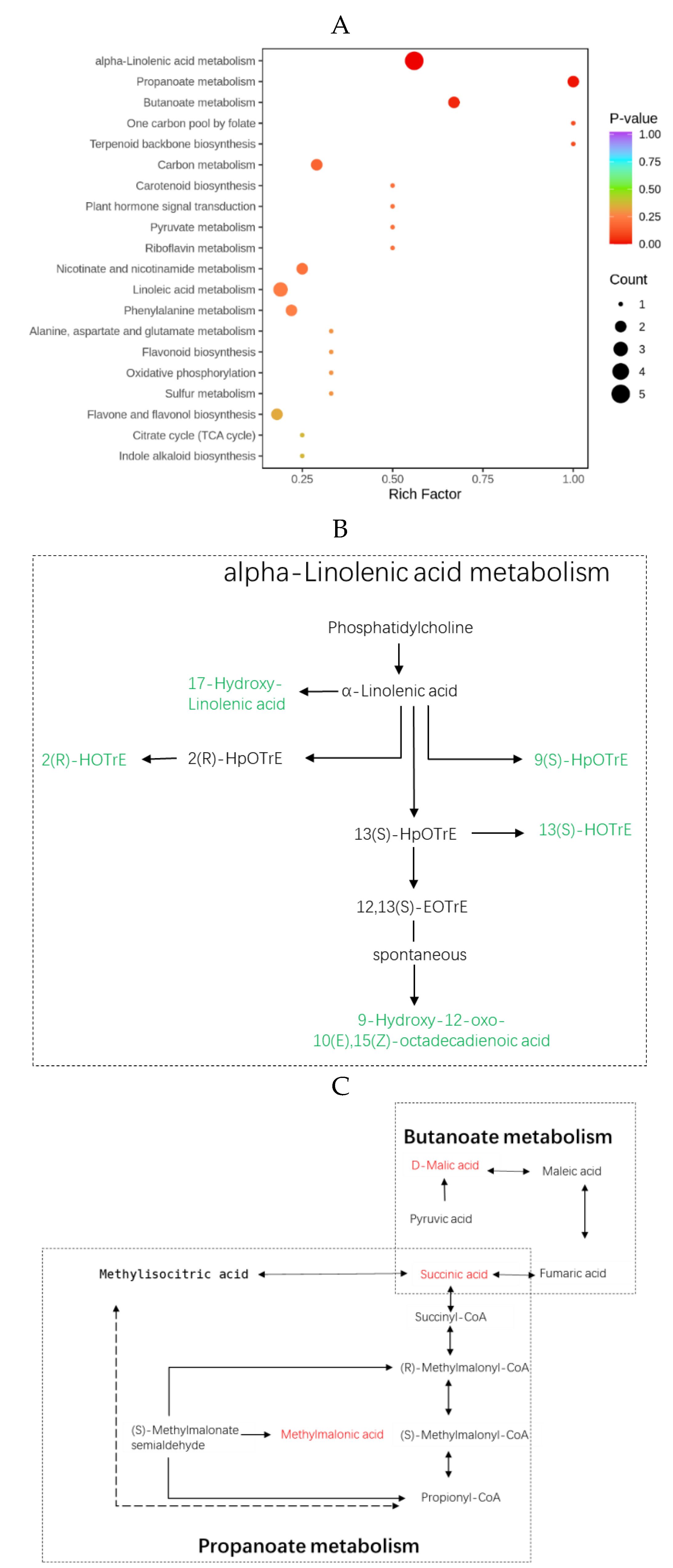 Preprints 142453 g004