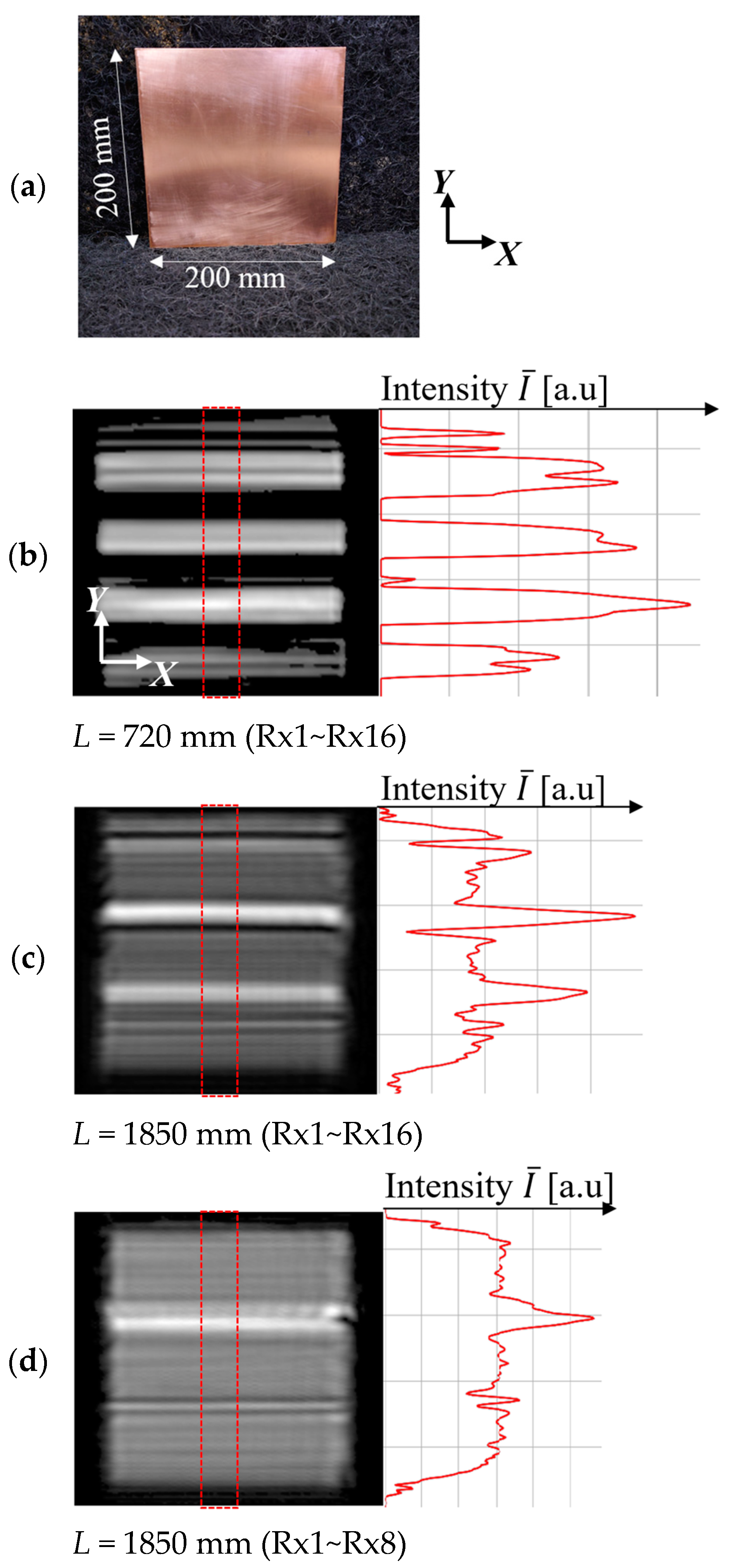 Preprints 109720 g003