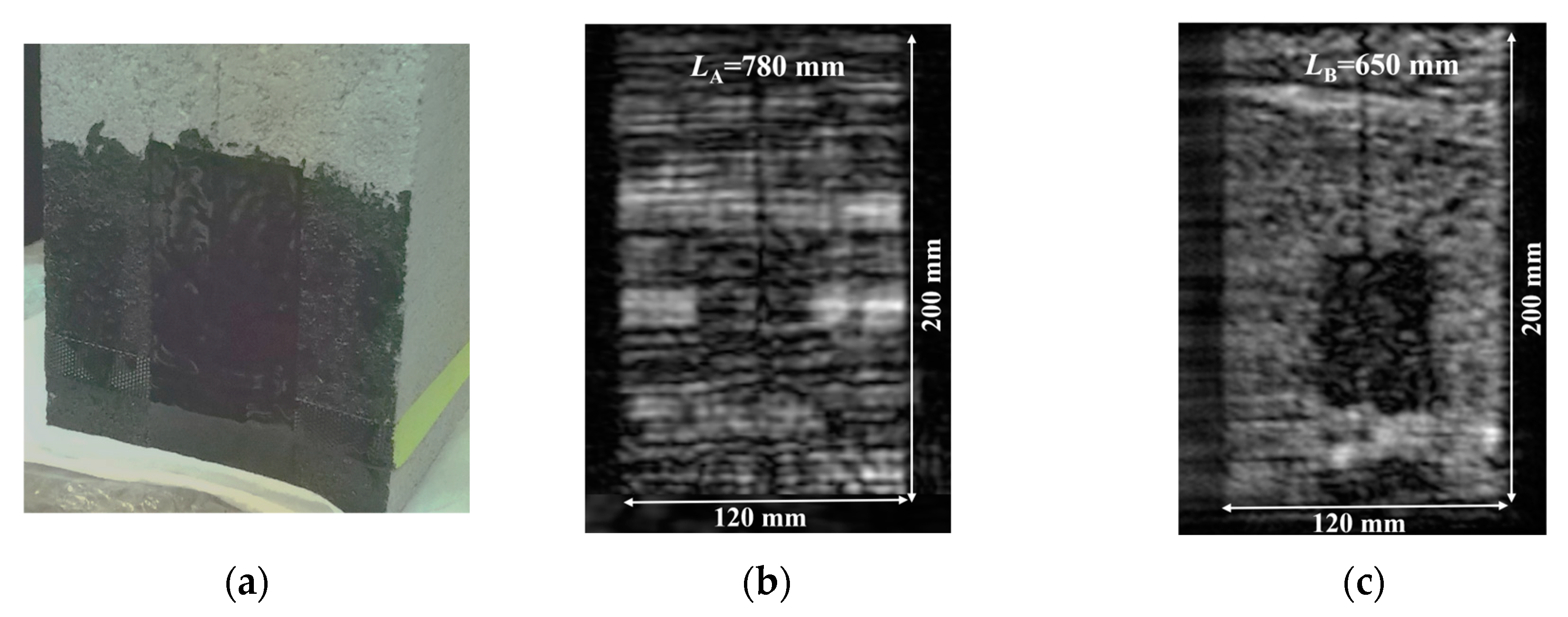 Preprints 109720 g006