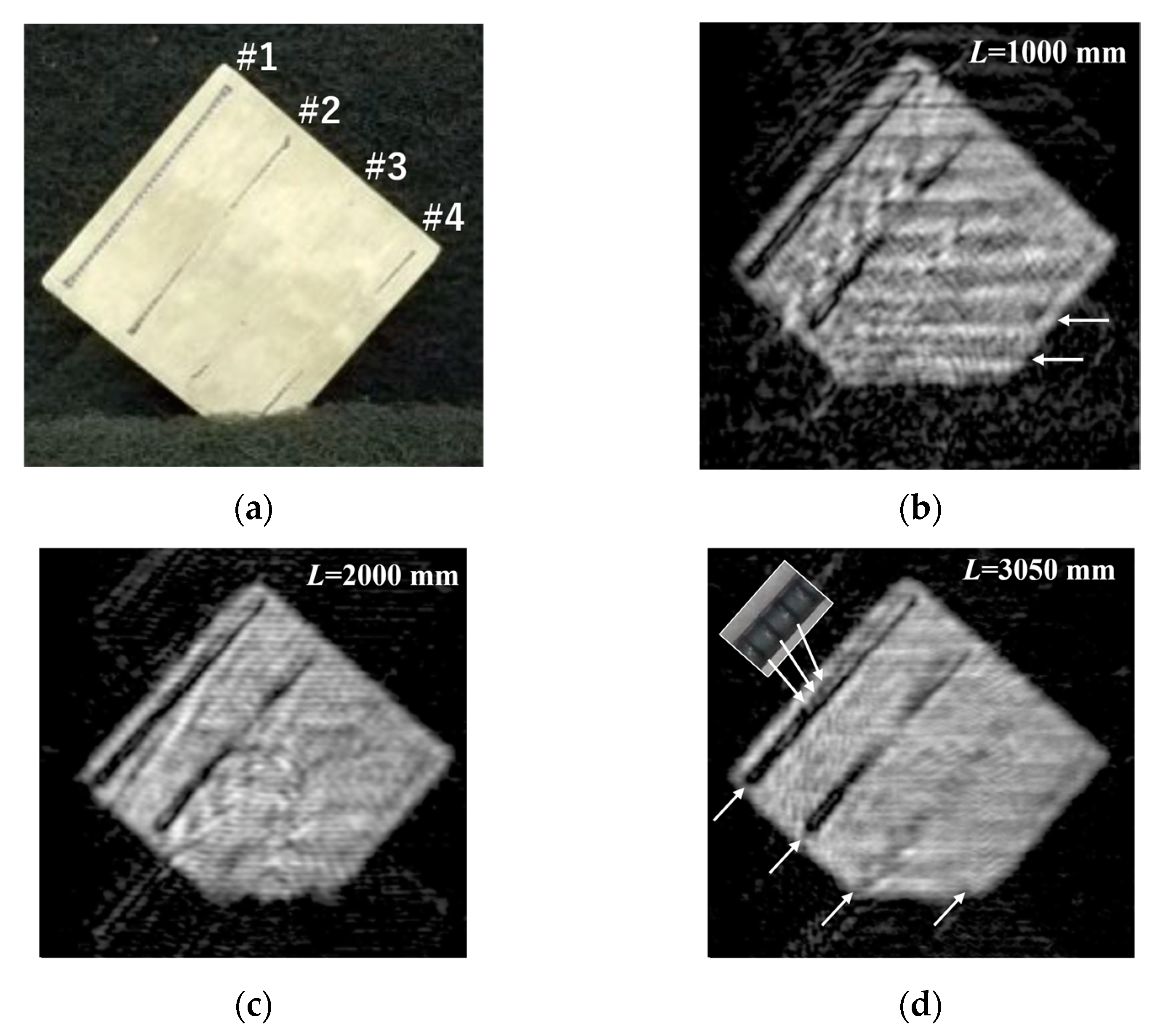 Preprints 109720 g008