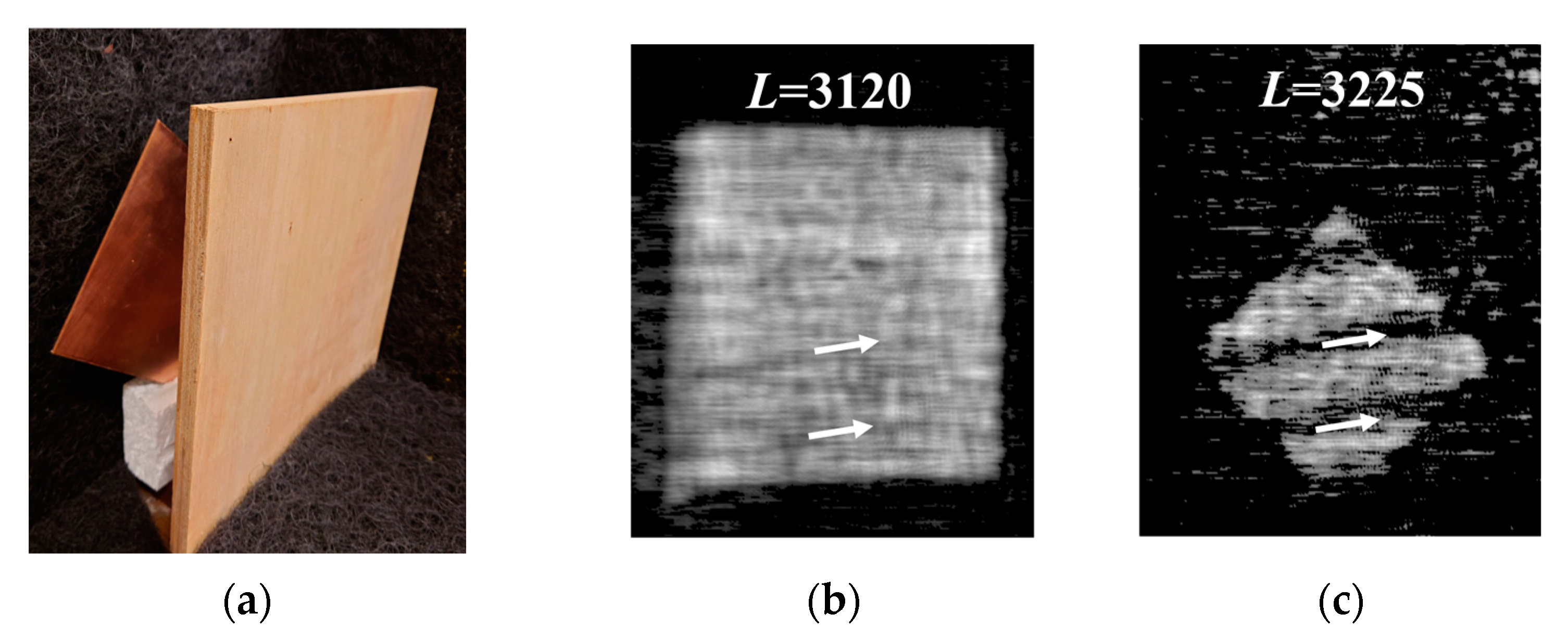 Preprints 109720 g011