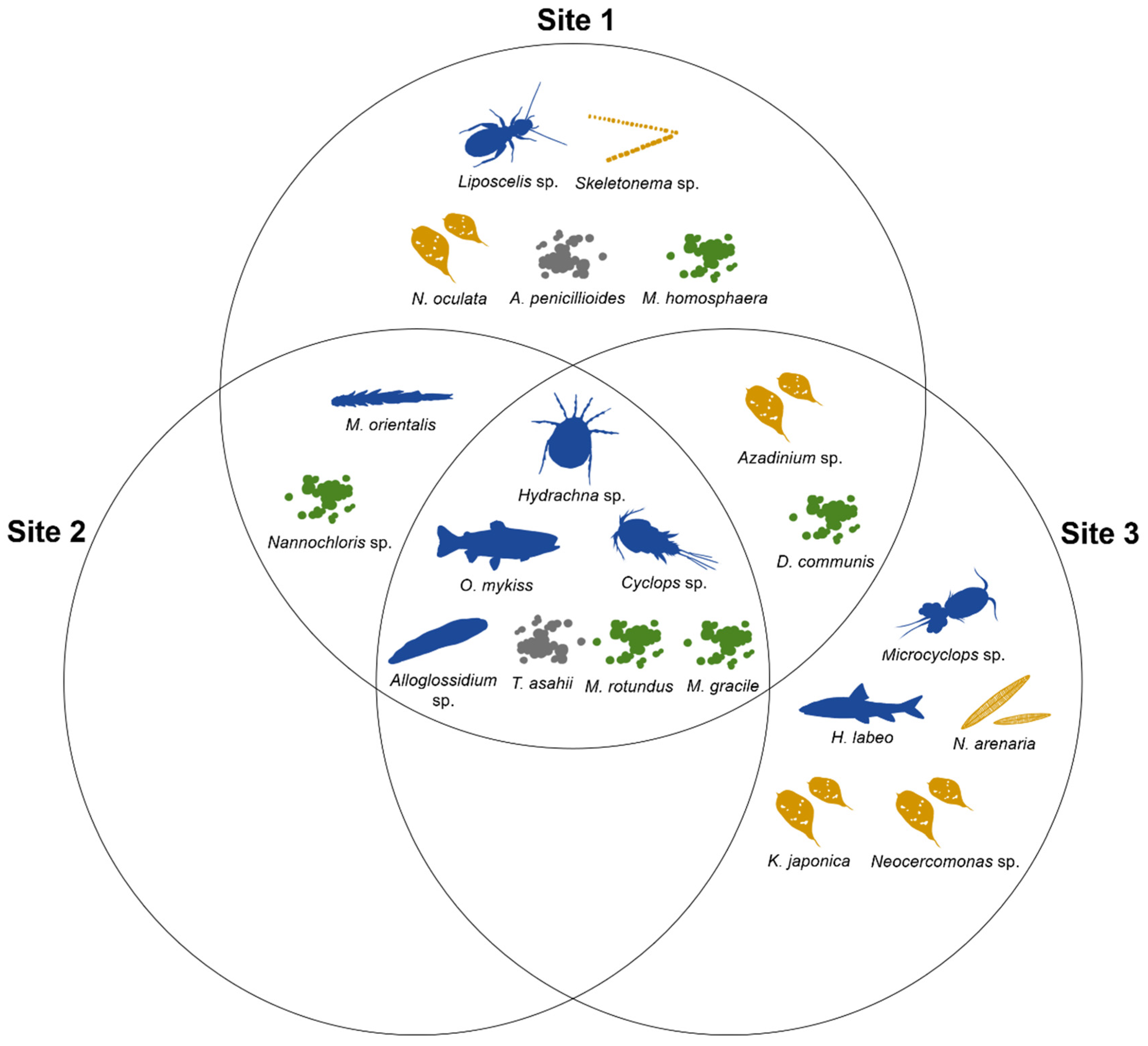 Preprints 77235 g004