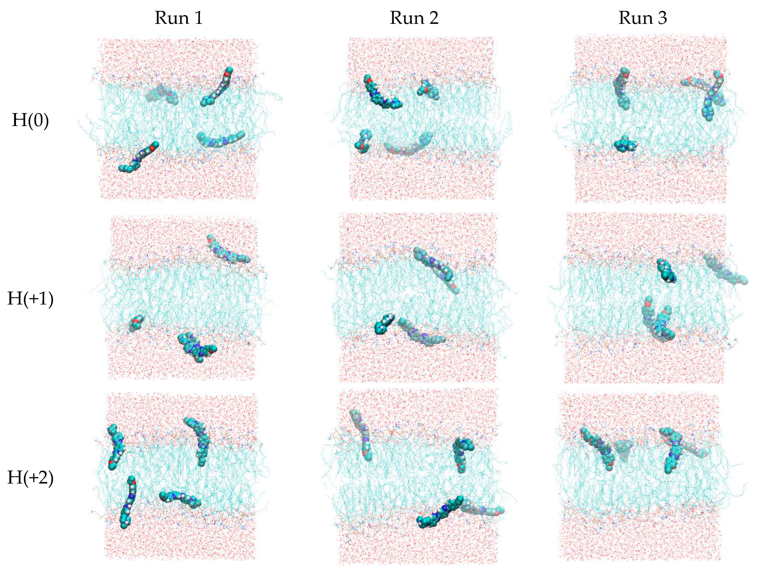 Preprints 78429 g005