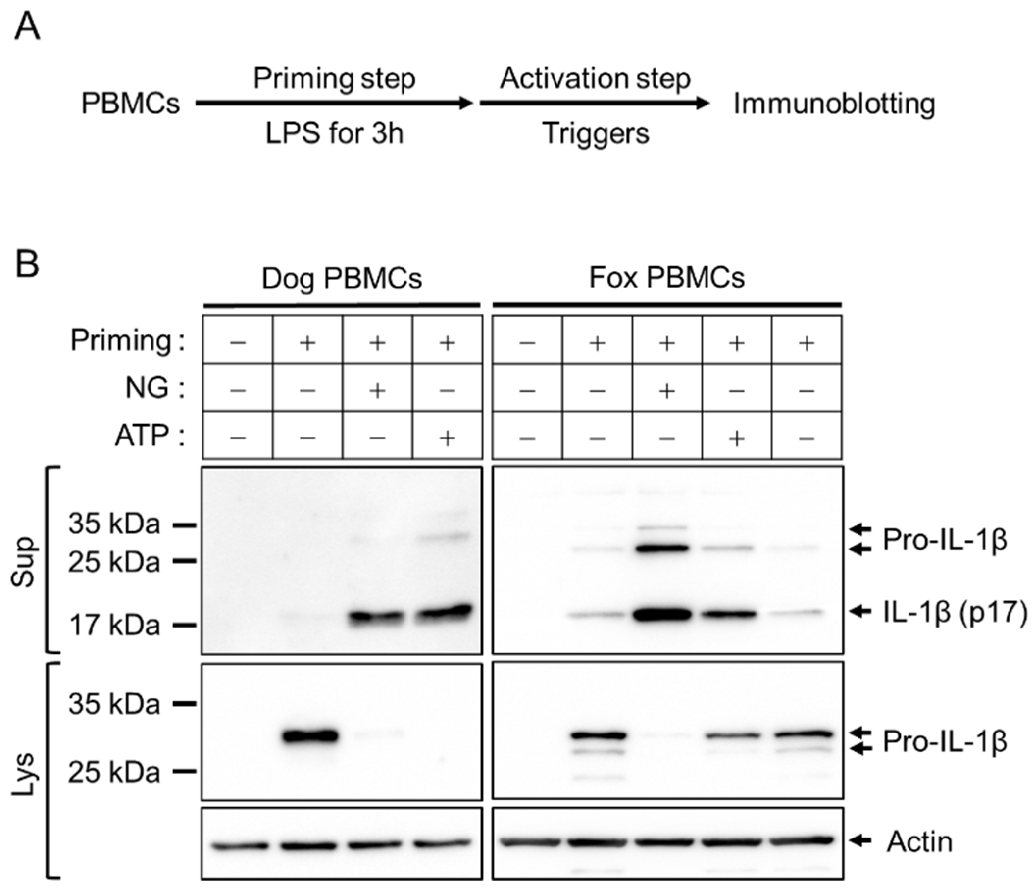 Preprints 91629 g001