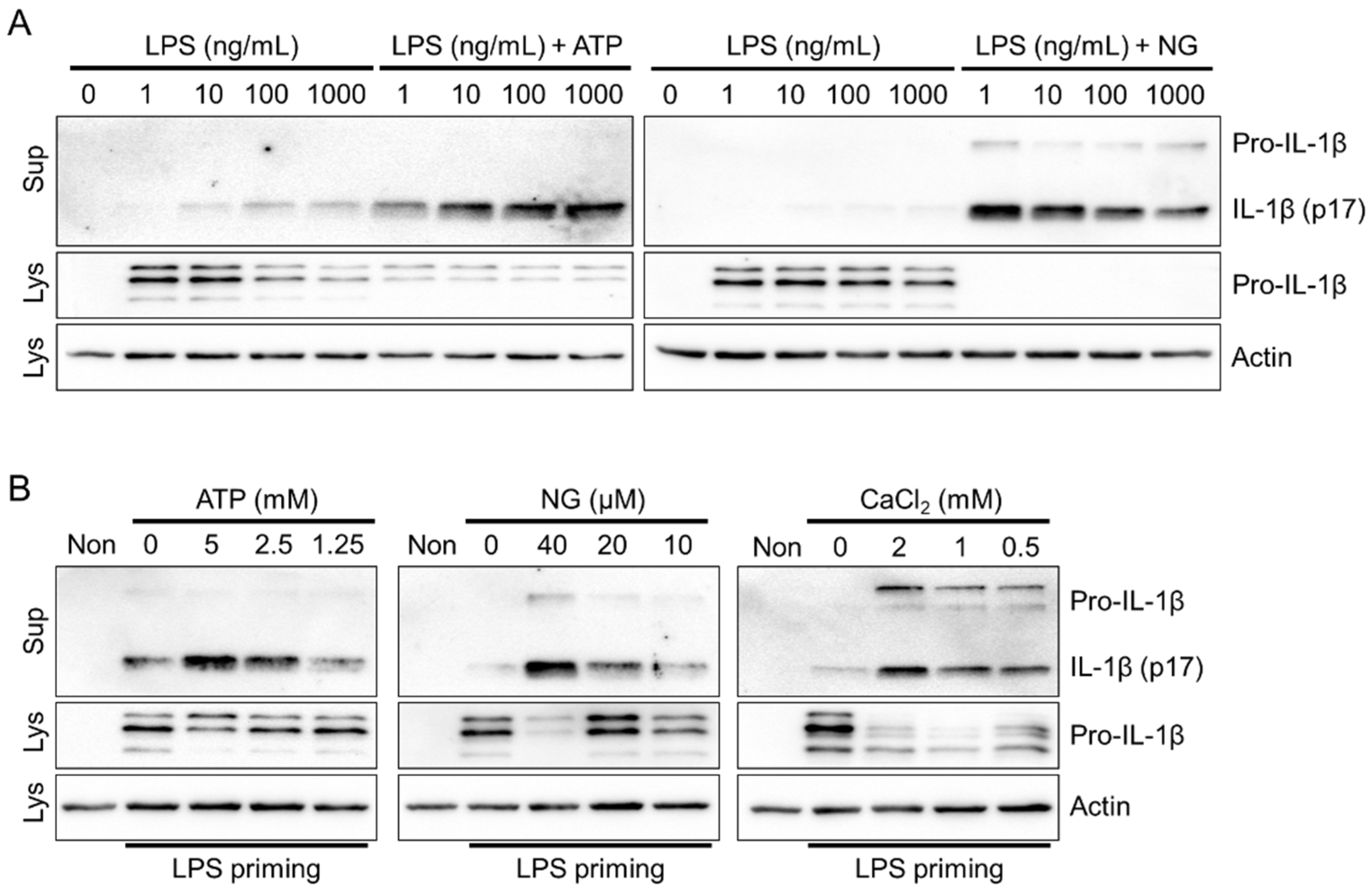 Preprints 91629 g002