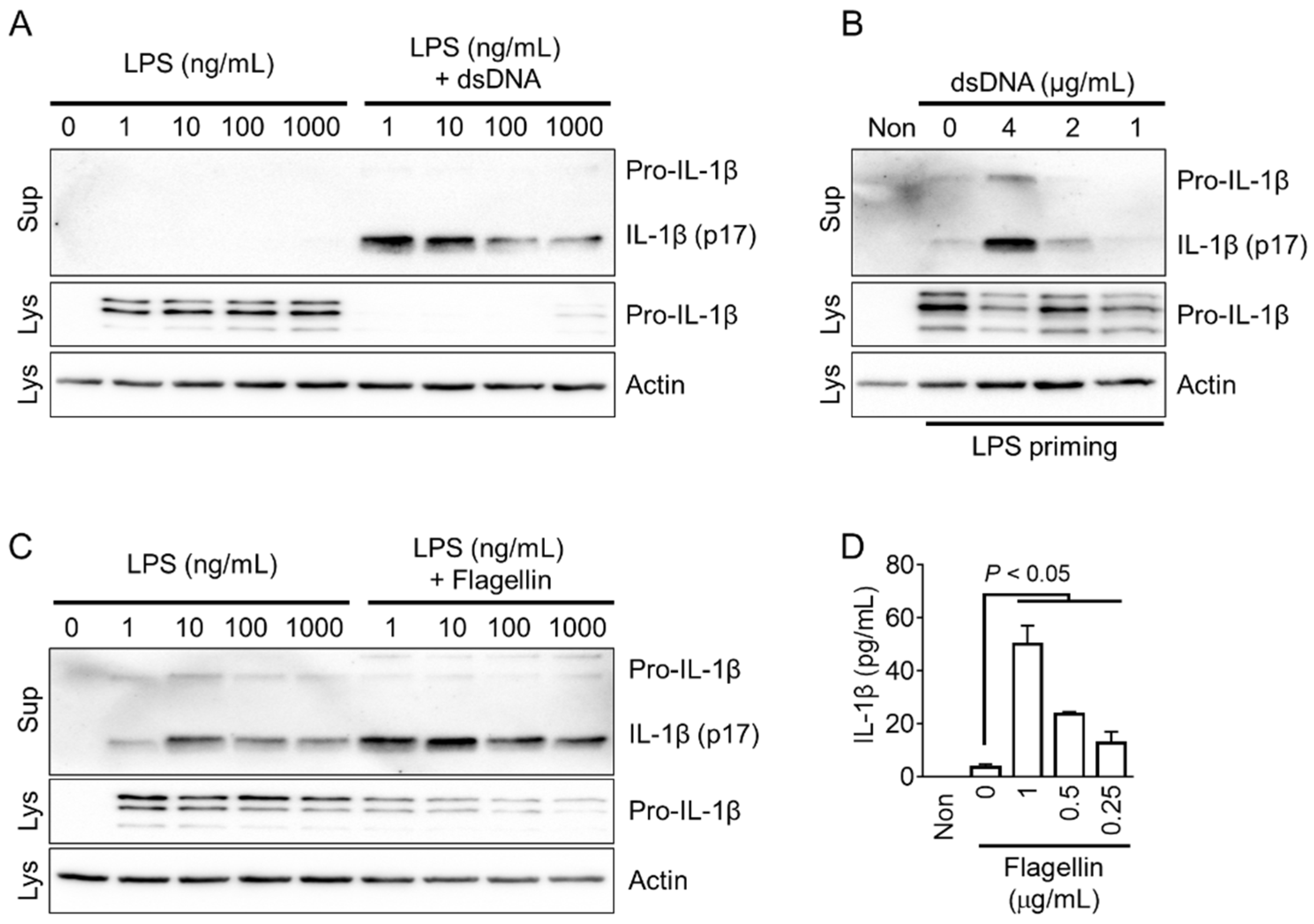 Preprints 91629 g003