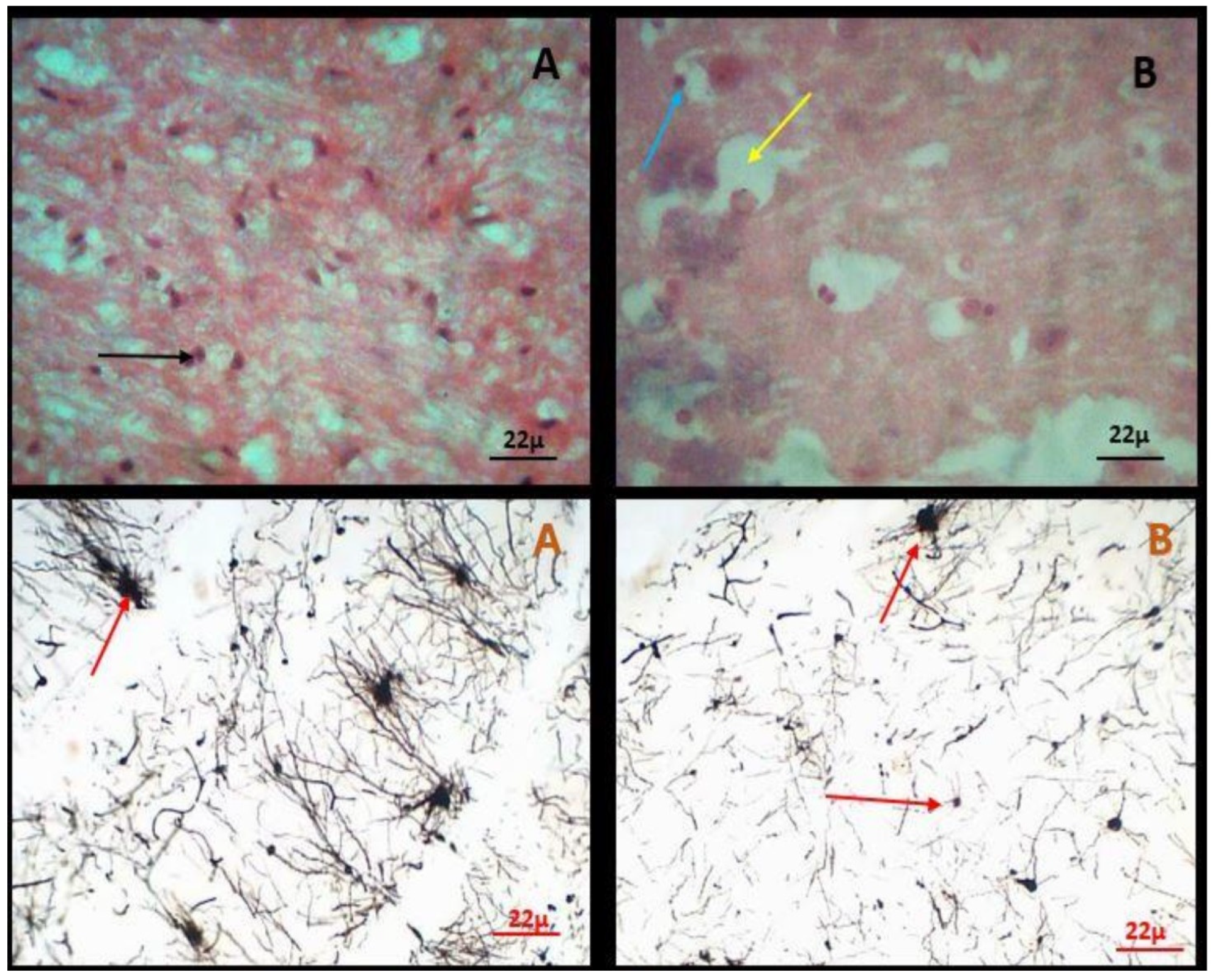 Preprints 107325 g001