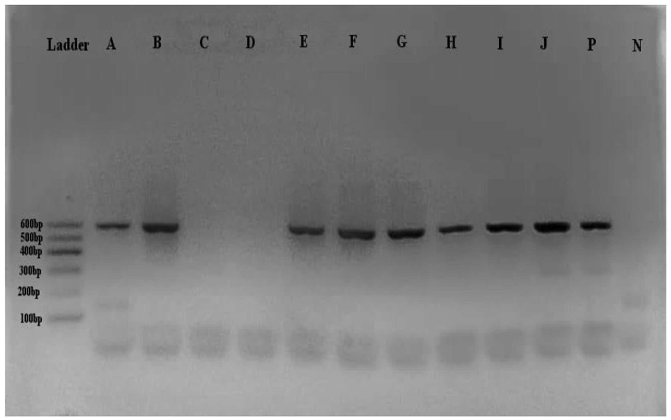 Preprints 107325 g002