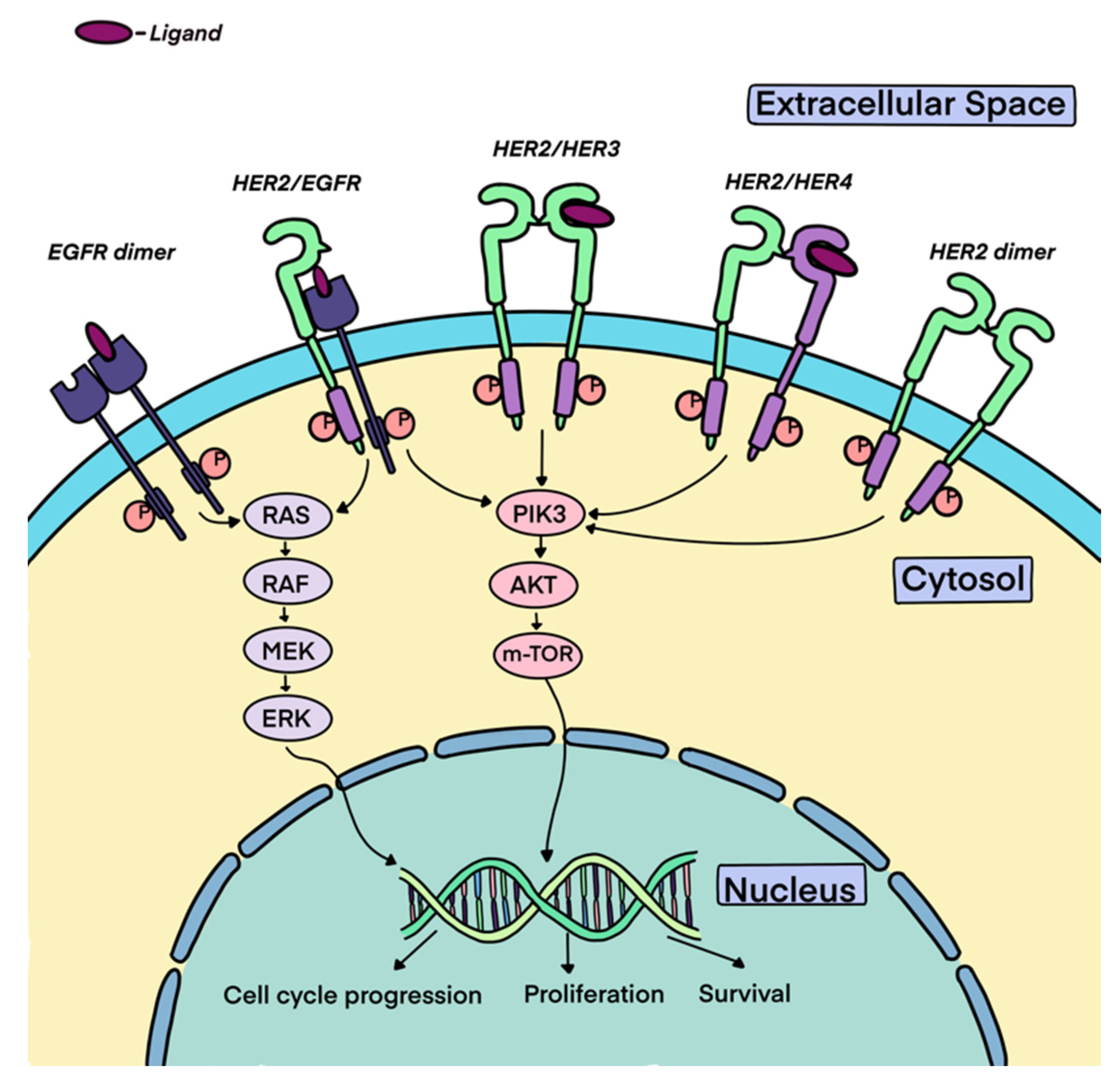 Preprints 93156 g001