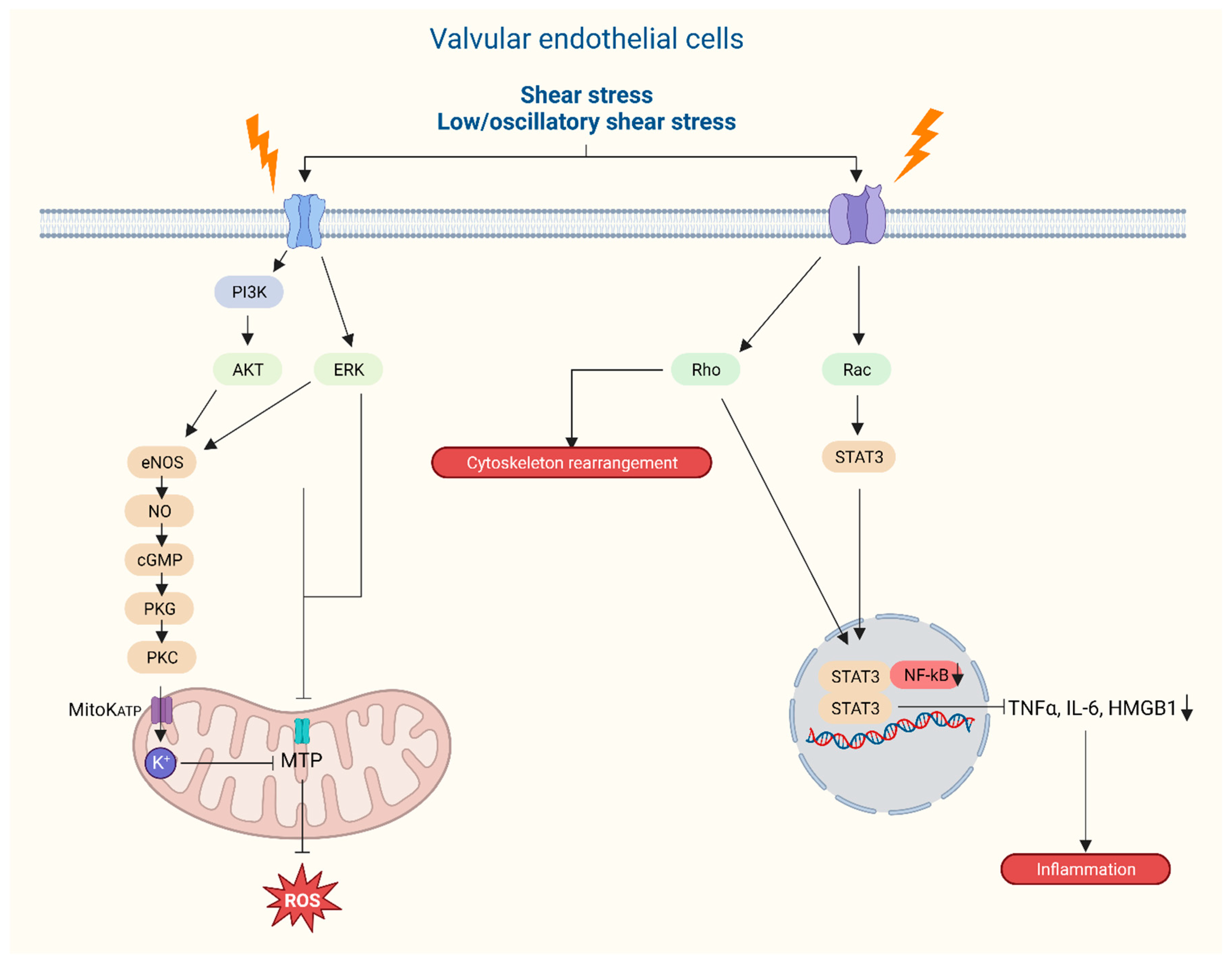 Preprints 95597 g007