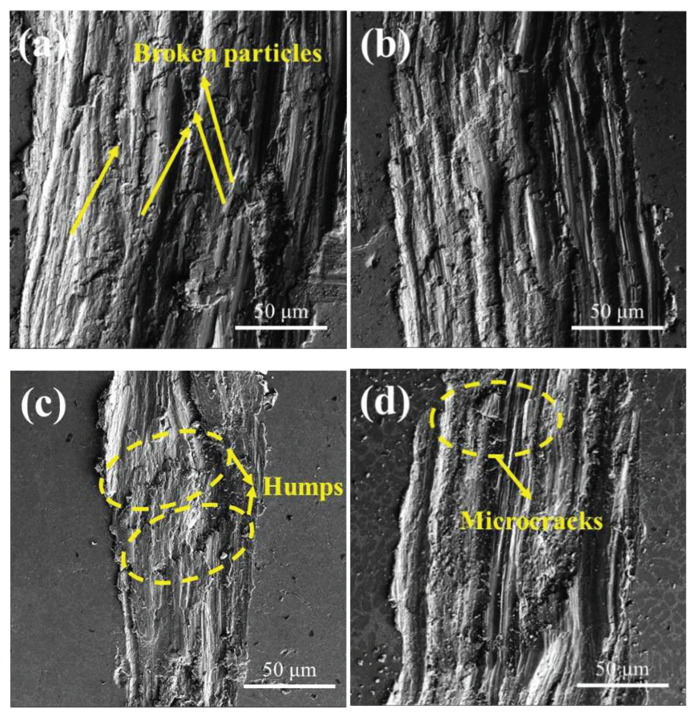 Preprints 93408 g008