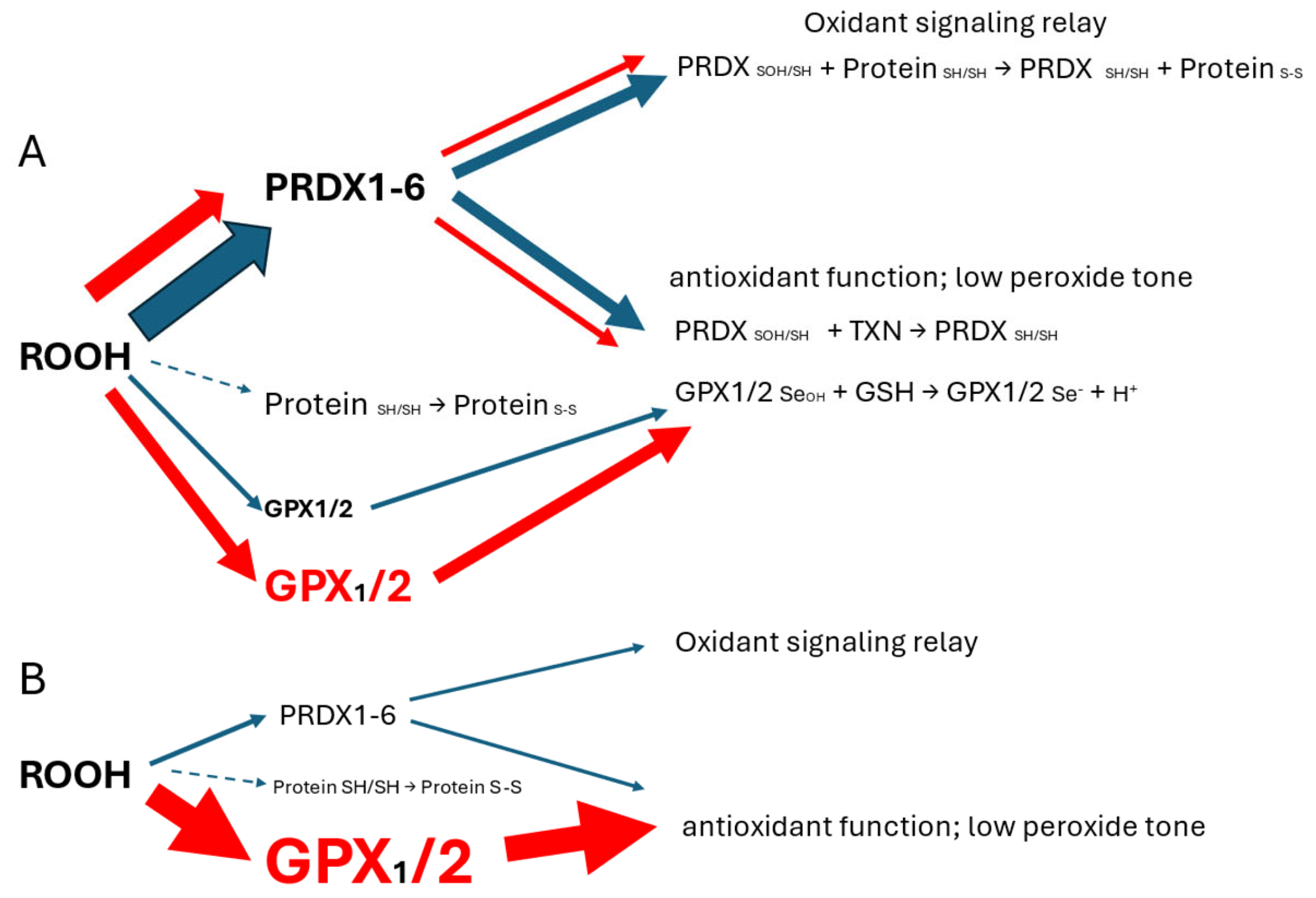 Preprints 116905 g001