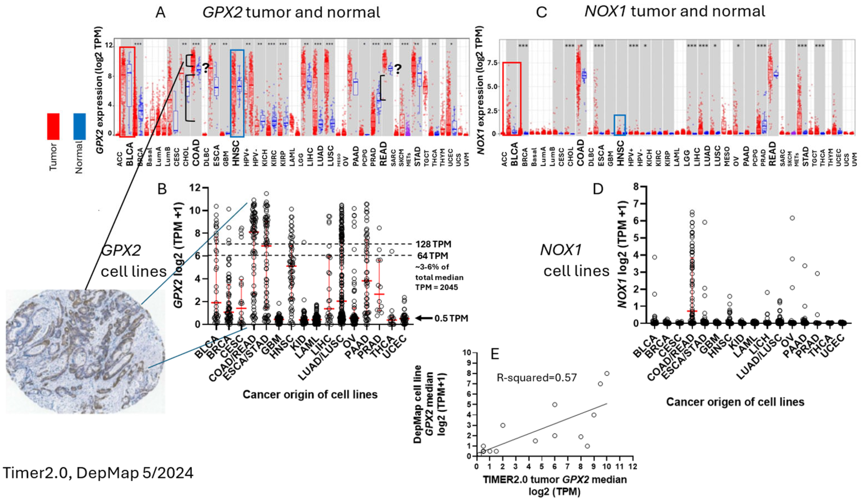 Preprints 116905 g002