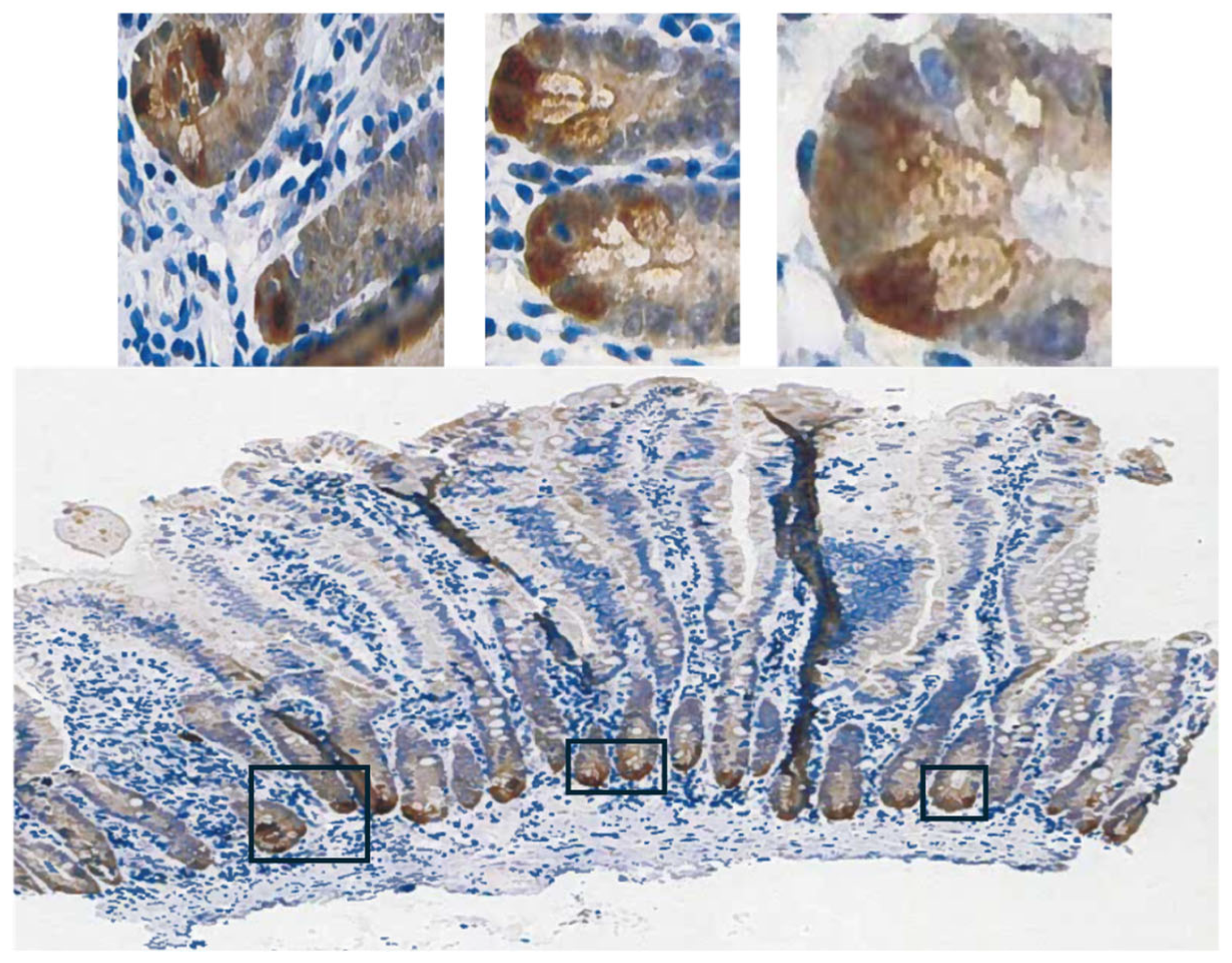 Preprints 116905 g003