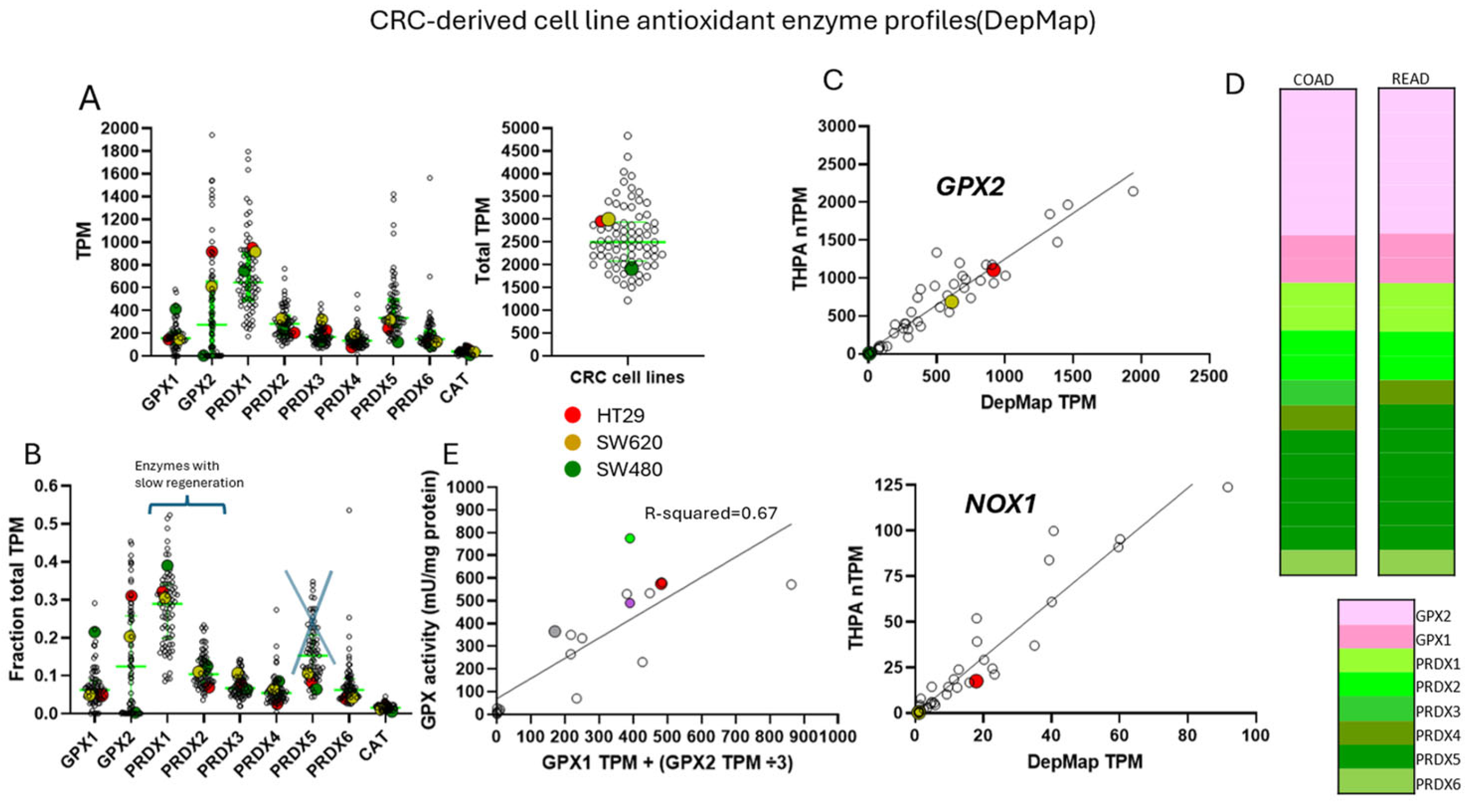 Preprints 116905 g004