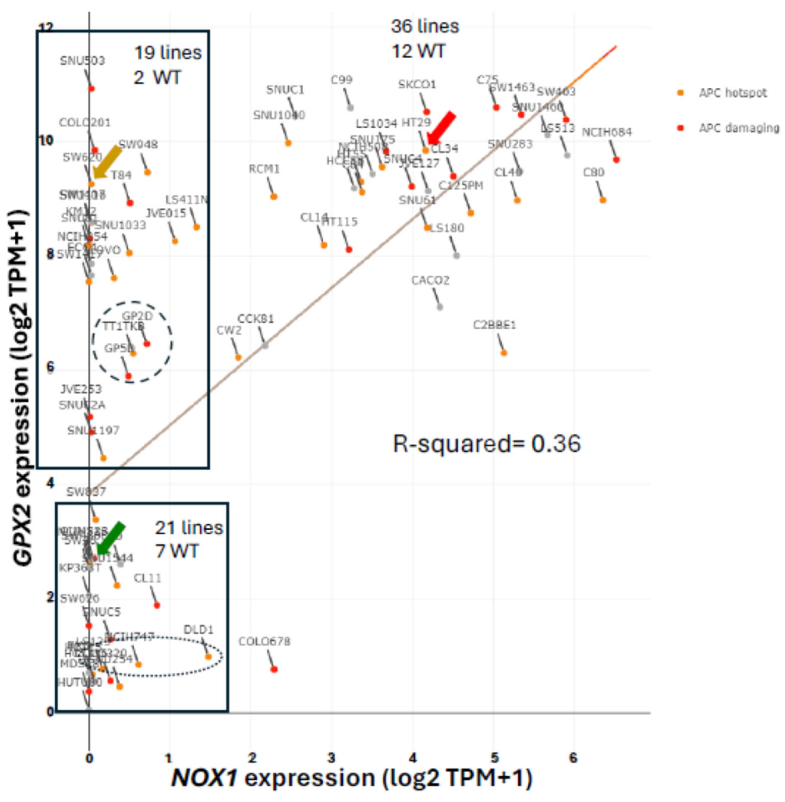 Preprints 116905 g005