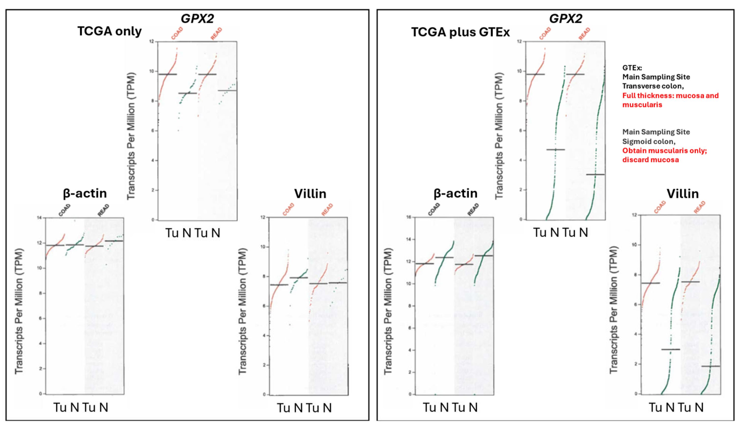 Preprints 116905 g006