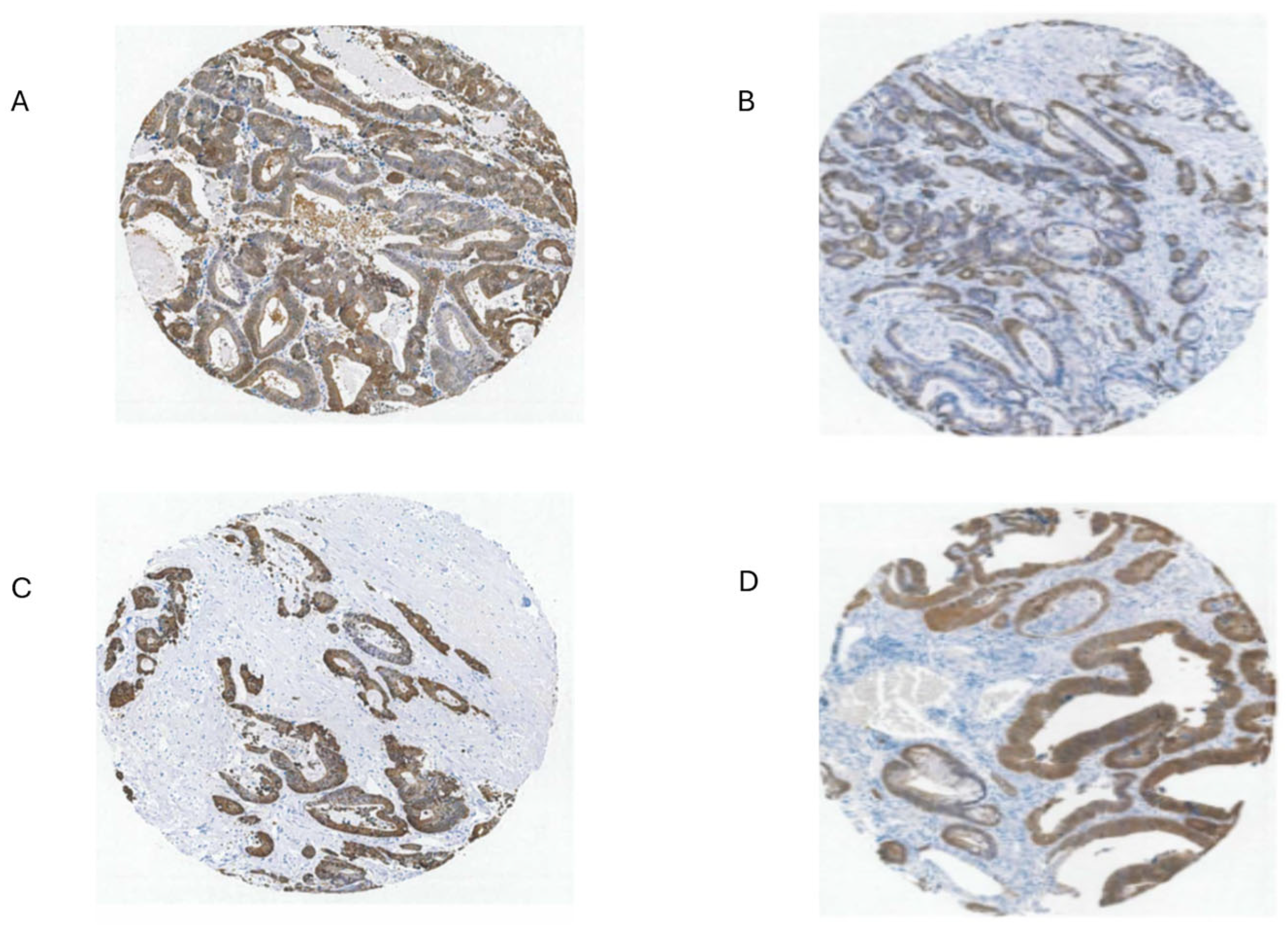 Preprints 116905 g007