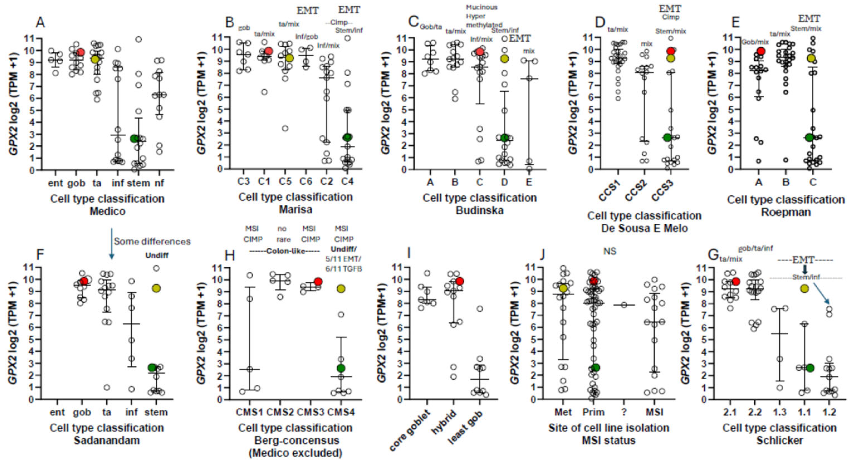 Preprints 116905 g008