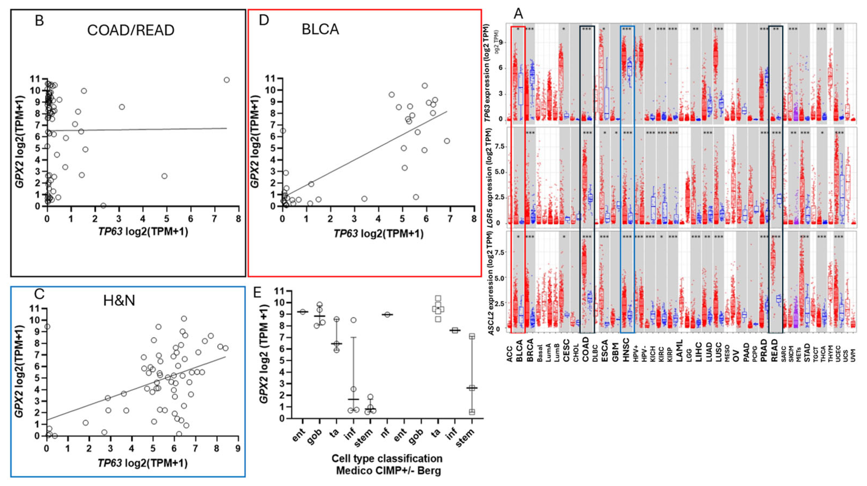 Preprints 116905 g010