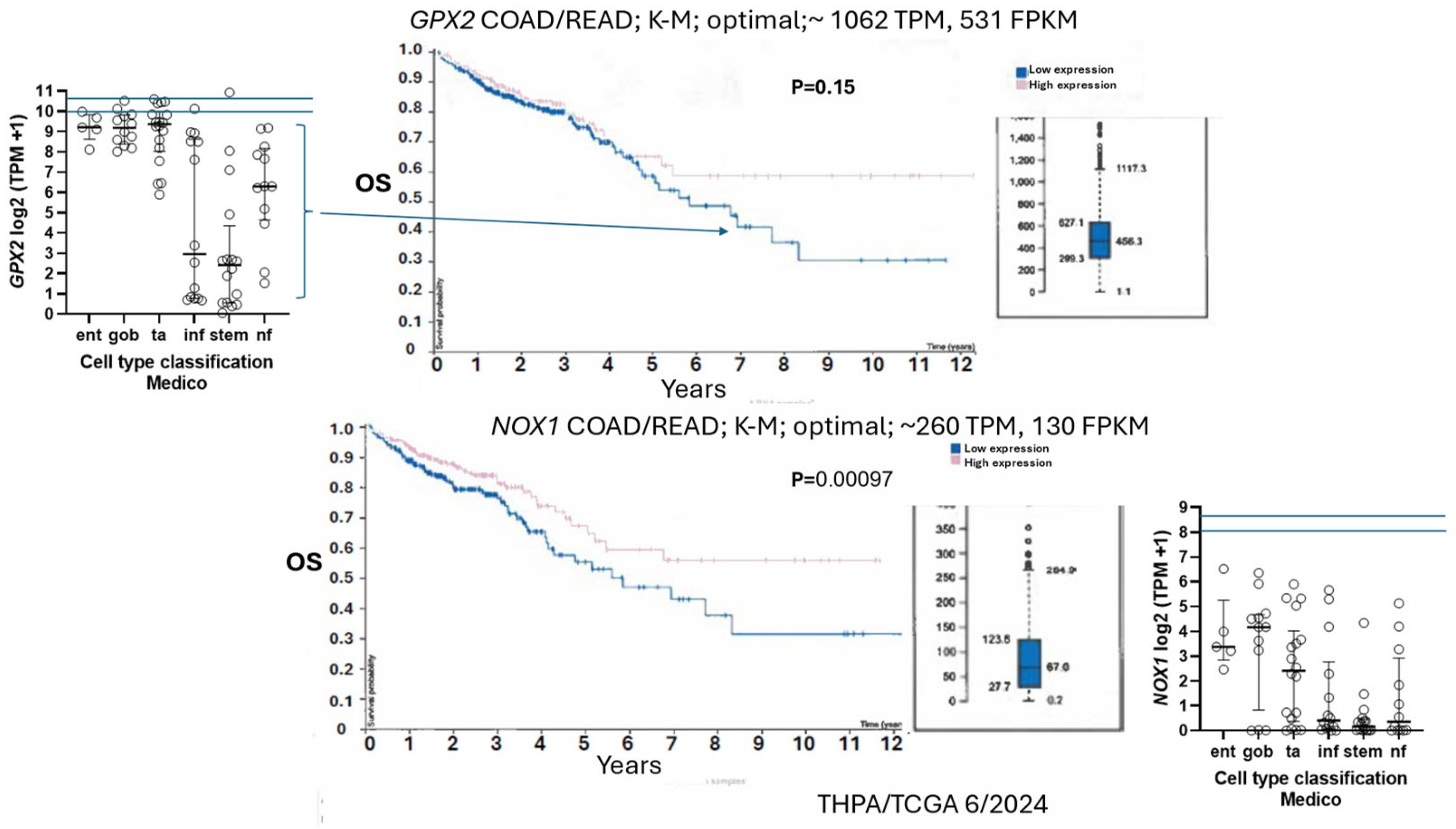 Preprints 116905 g011