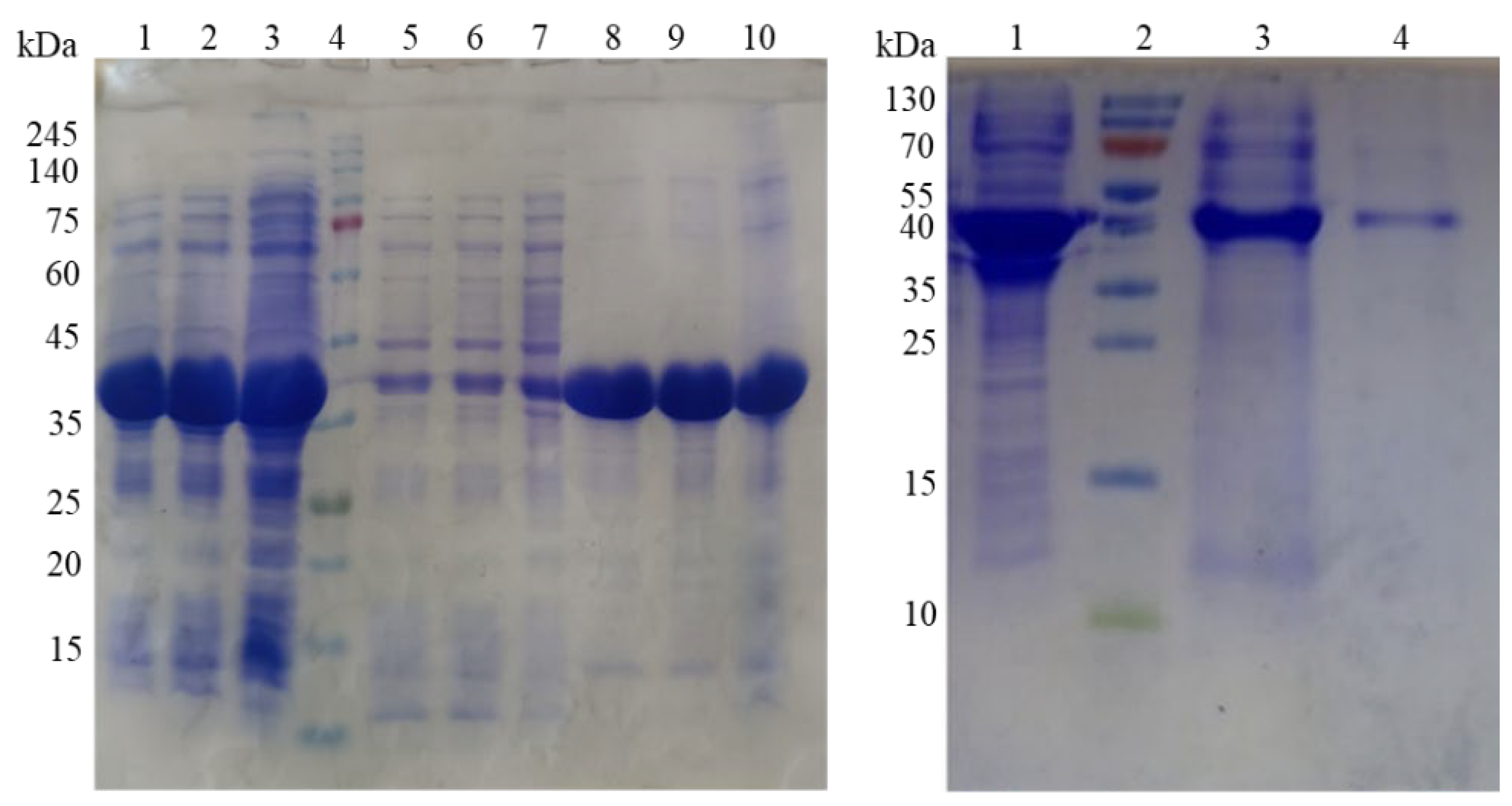 Preprints 116282 g002