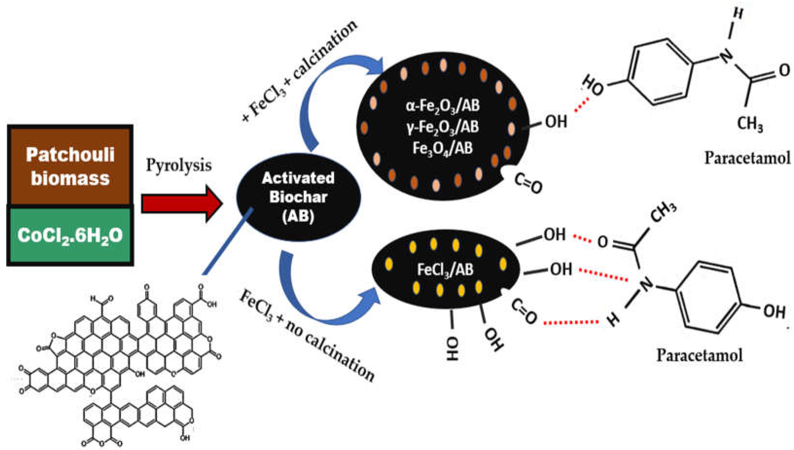 Preprints 115017 g010