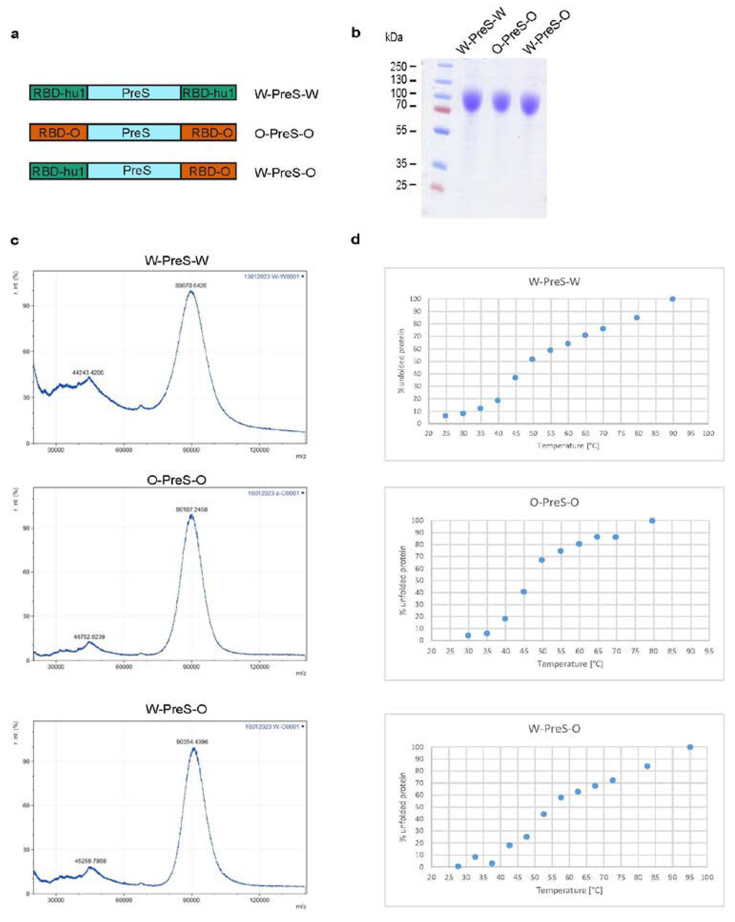 Preprints 96396 g001